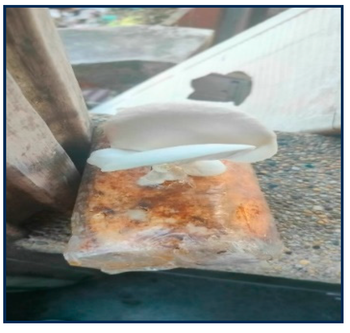 Preprints 172453 g009