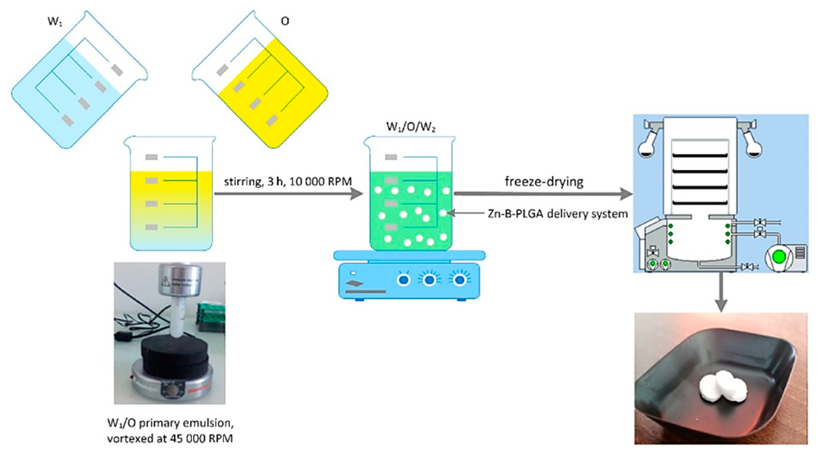 Preprints 84231 g005