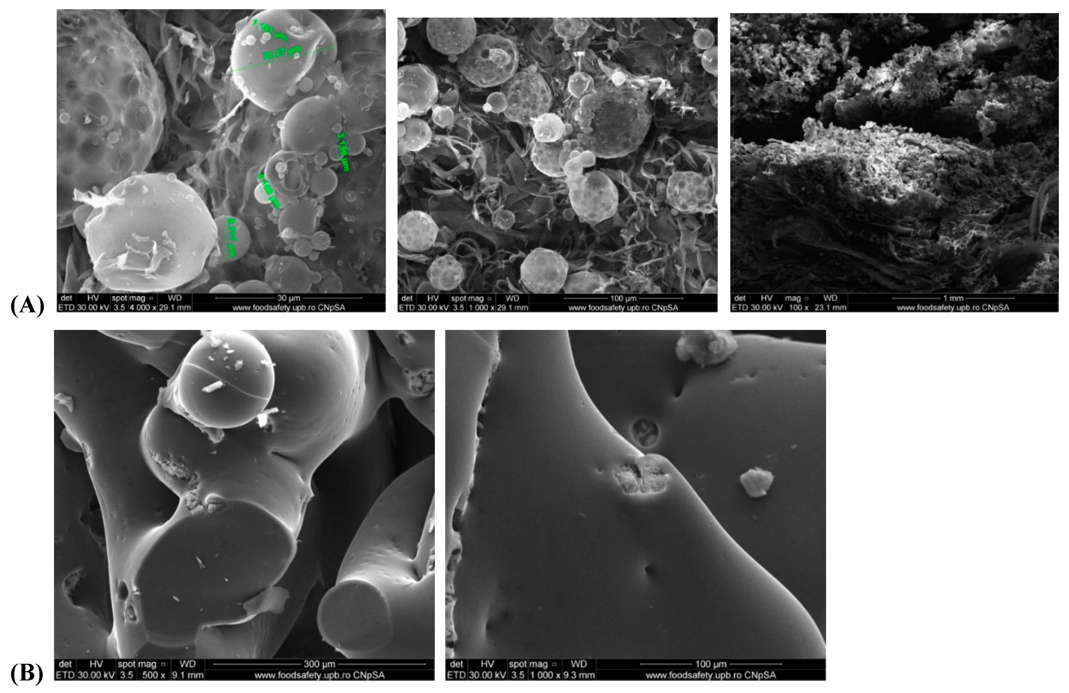 Preprints 84231 g010