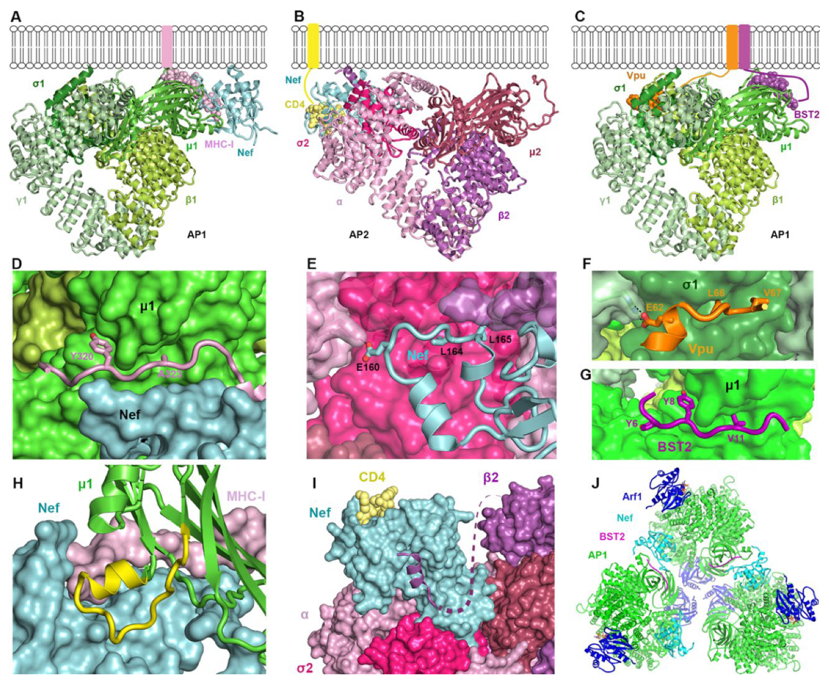 Preprints 155299 g003