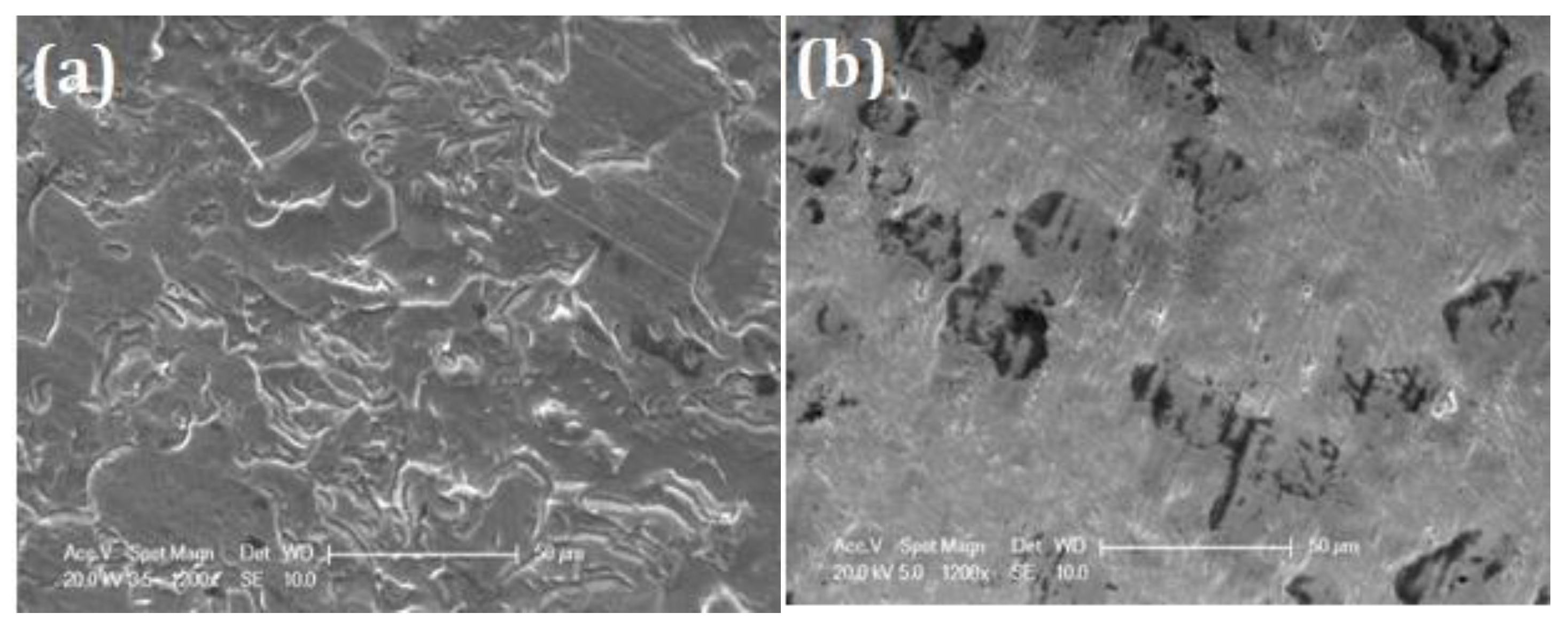 Preprints 169737 g011