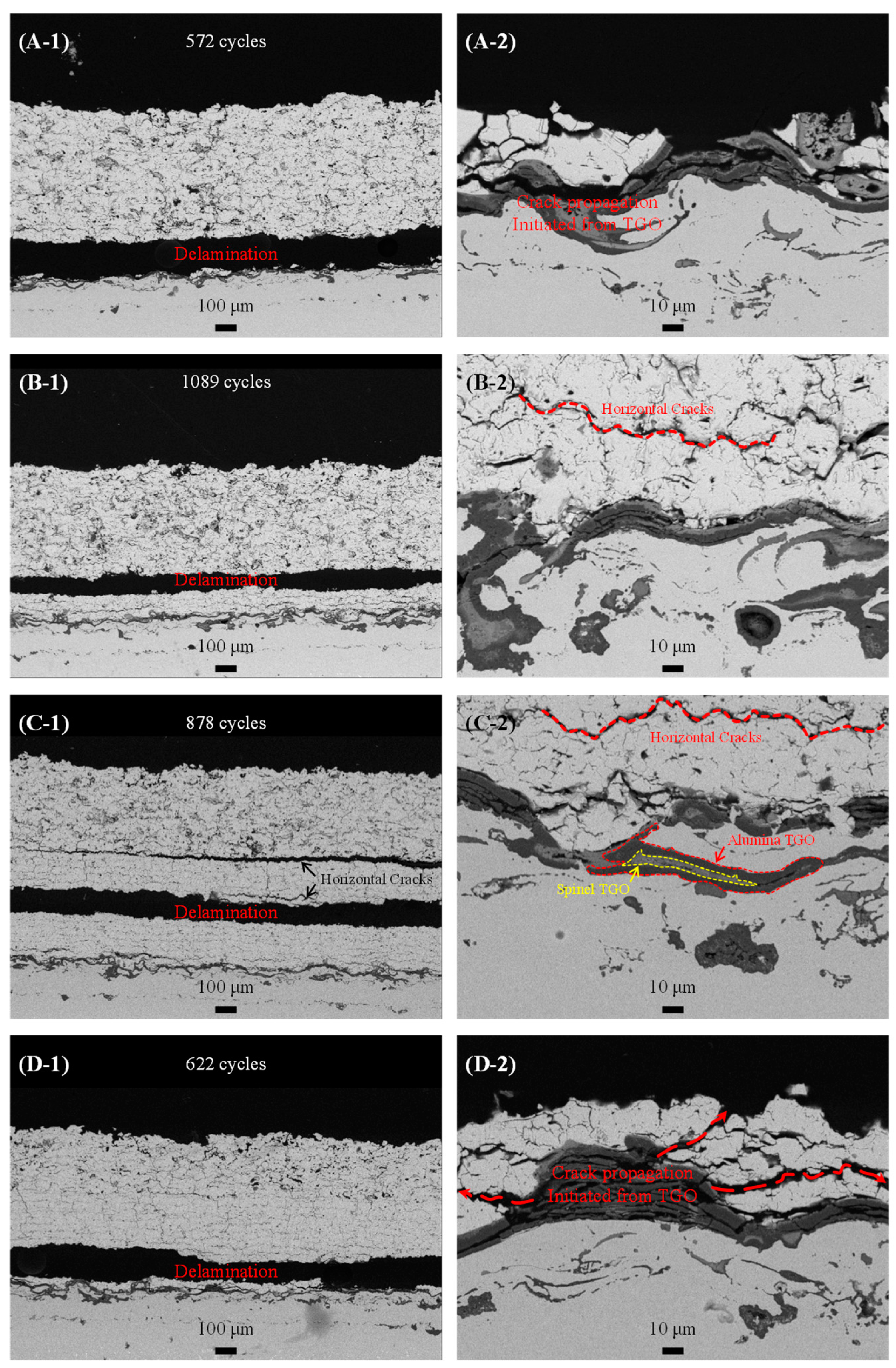 Preprints 144192 g005