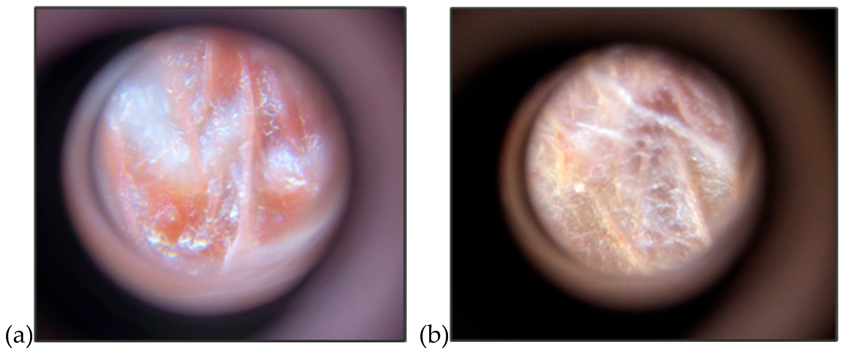 Preprints 183250 g005