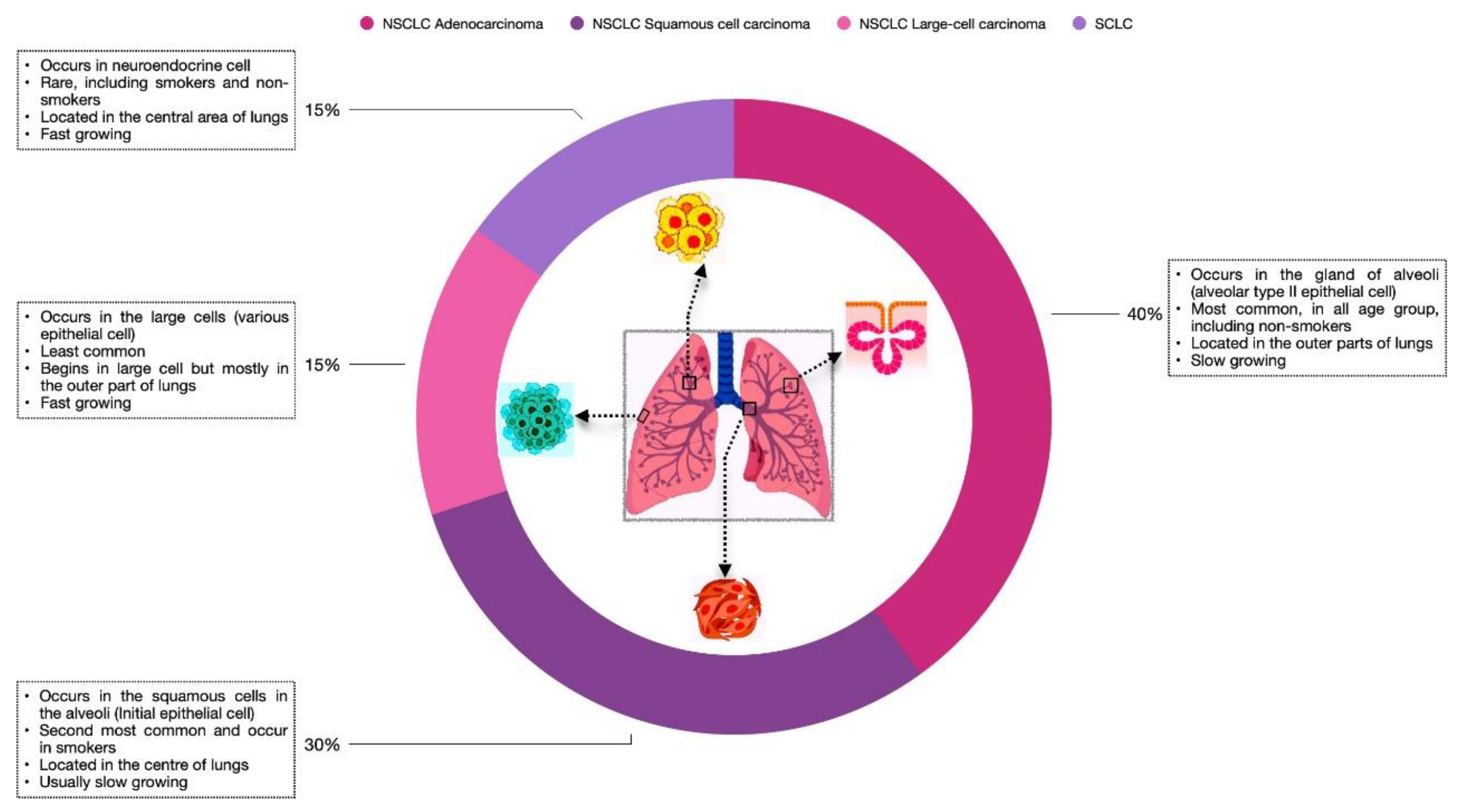 Preprints 81668 g001