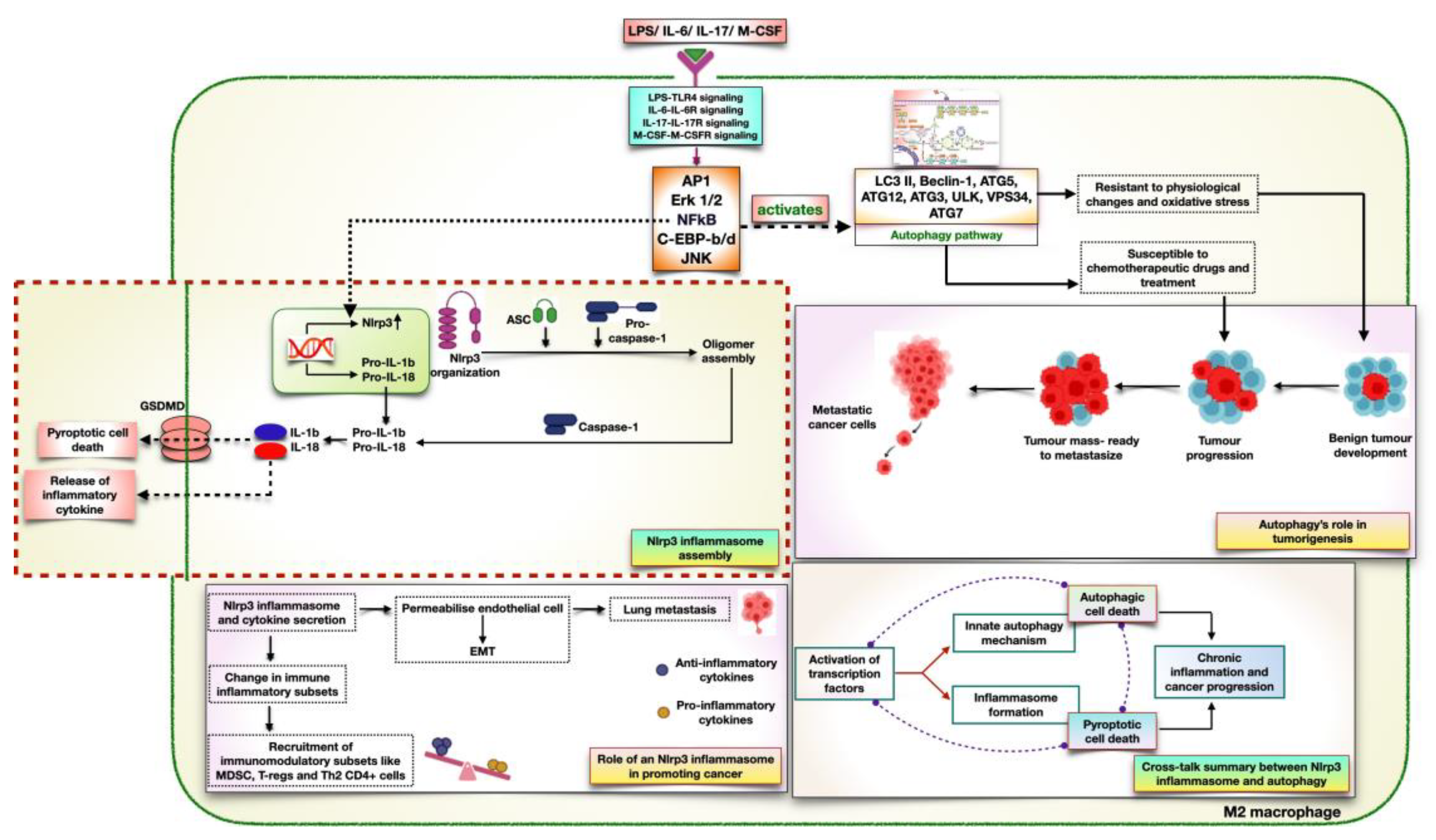 Preprints 81668 g004