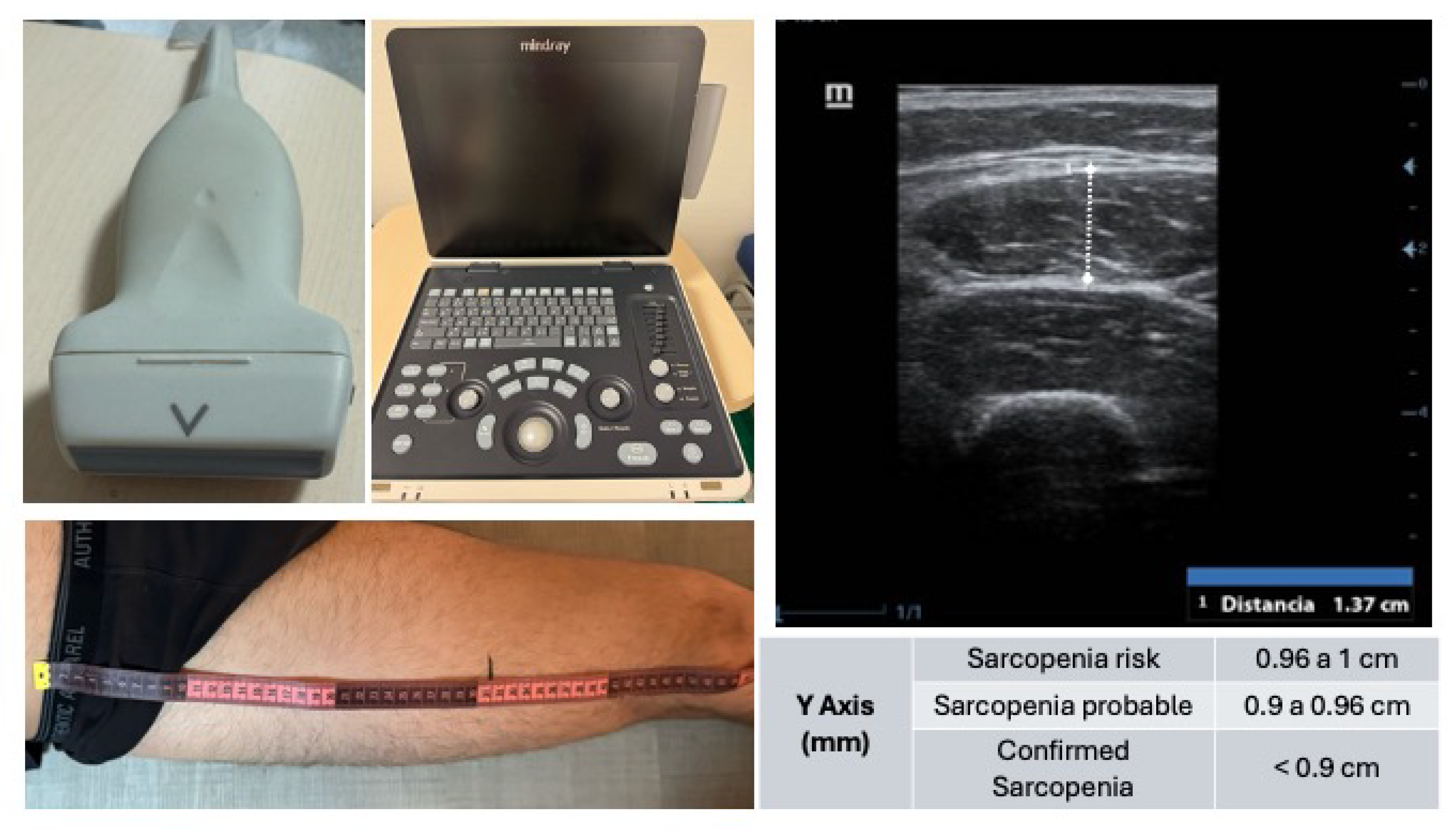 Preprints 159180 g001