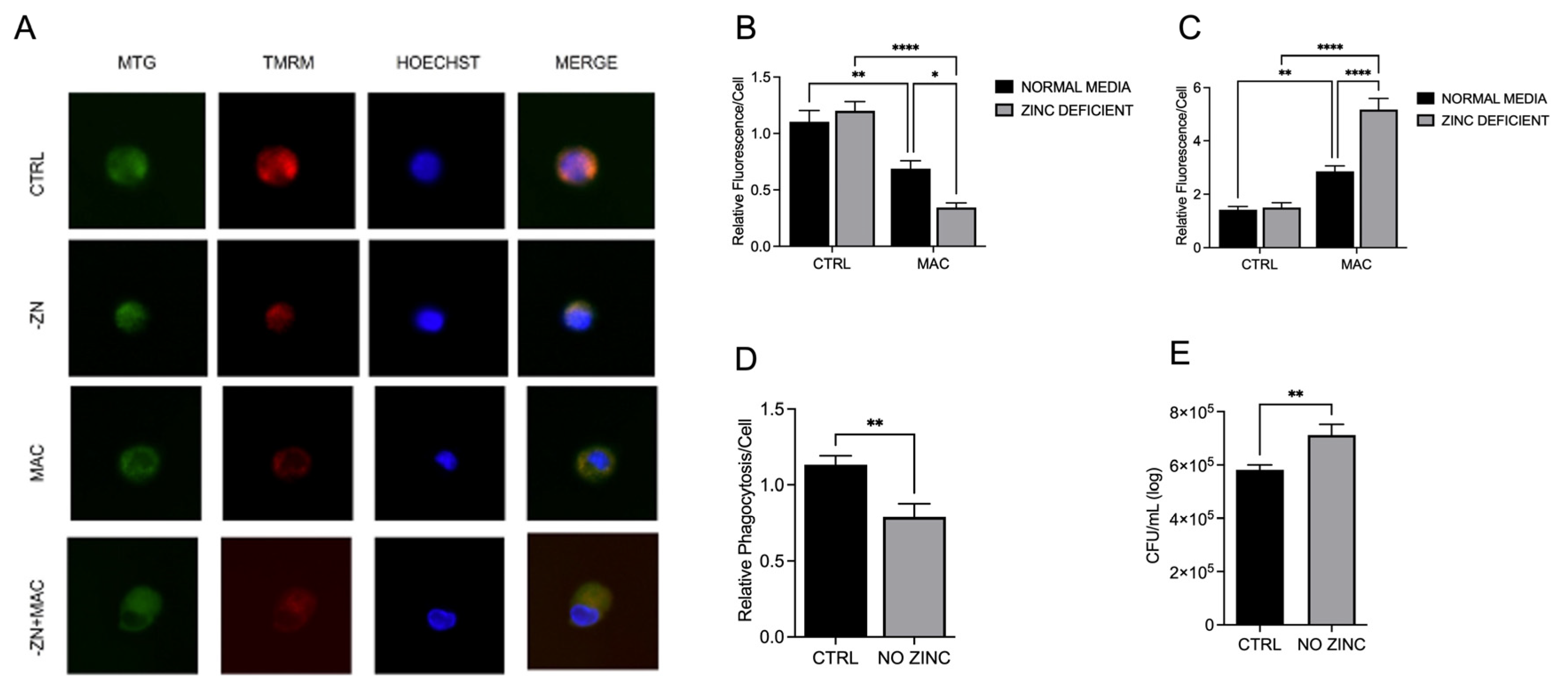 Preprints 168439 g002