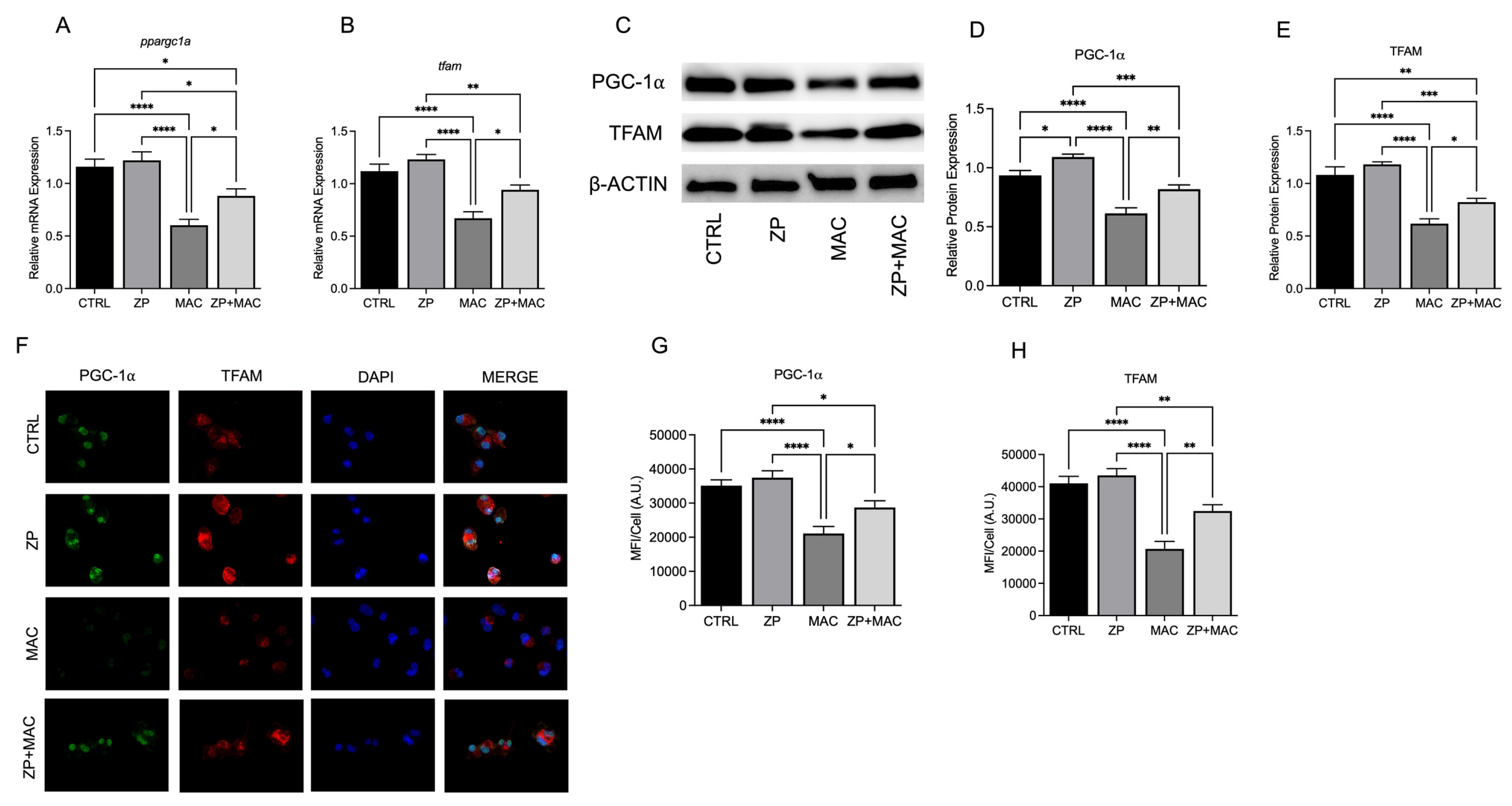 Preprints 168439 g003