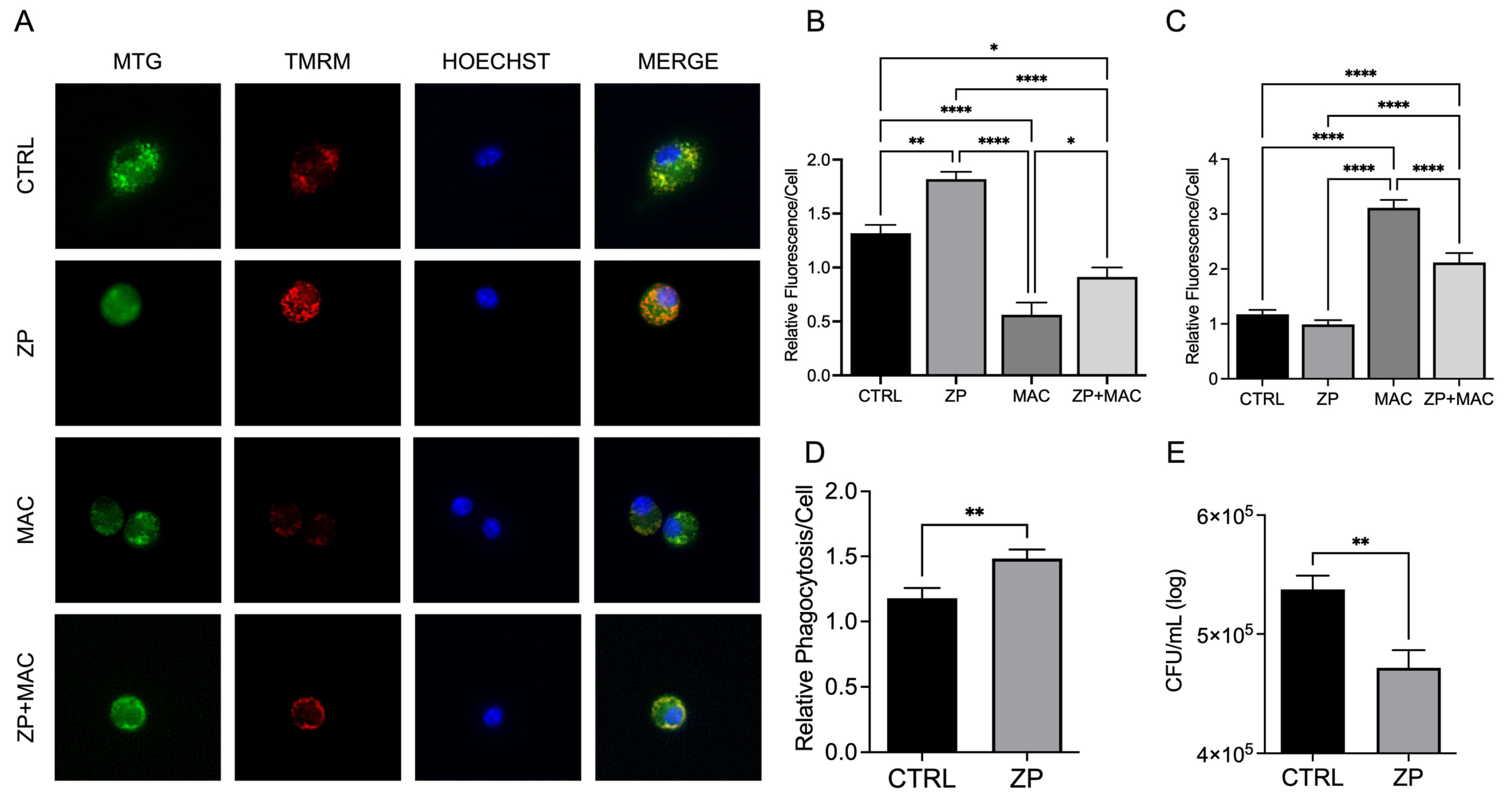 Preprints 168439 g004