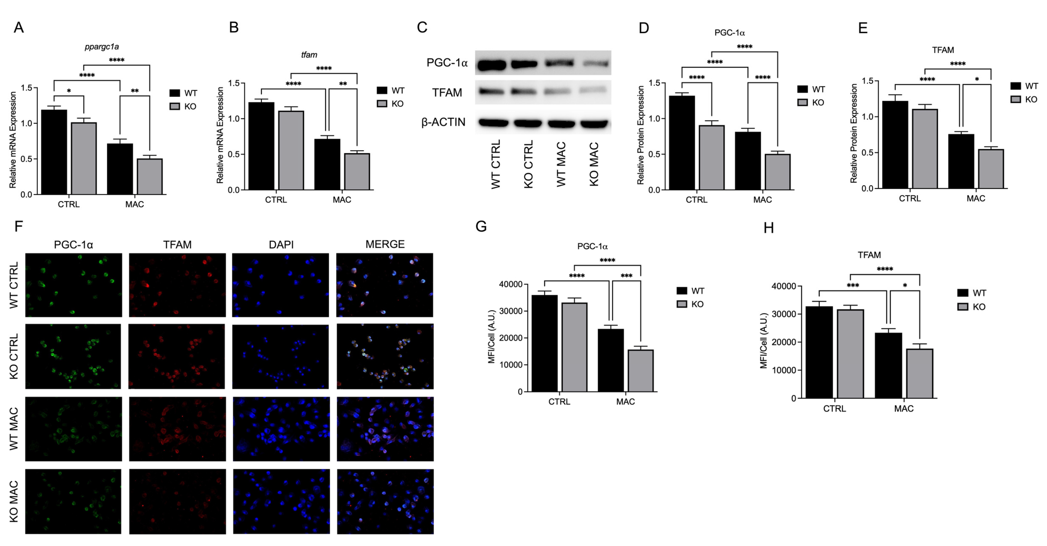 Preprints 168439 g005