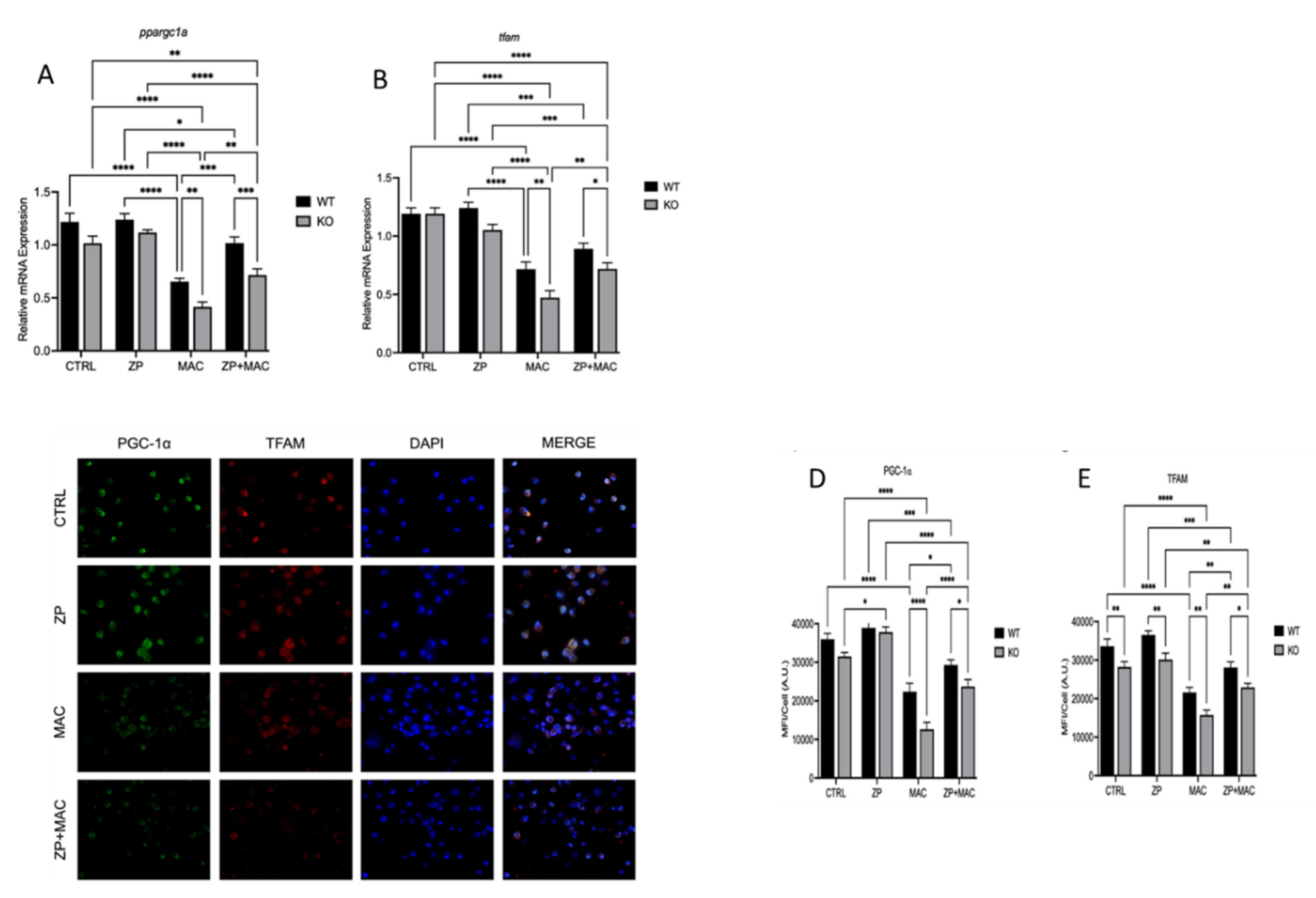 Preprints 168439 g007
