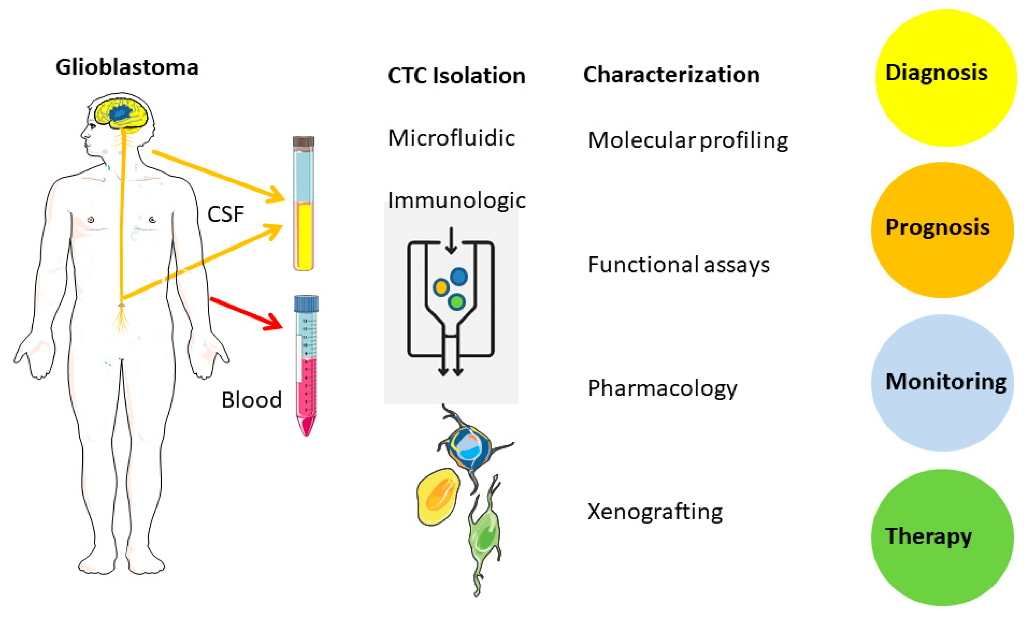 Preprints 189660 g001