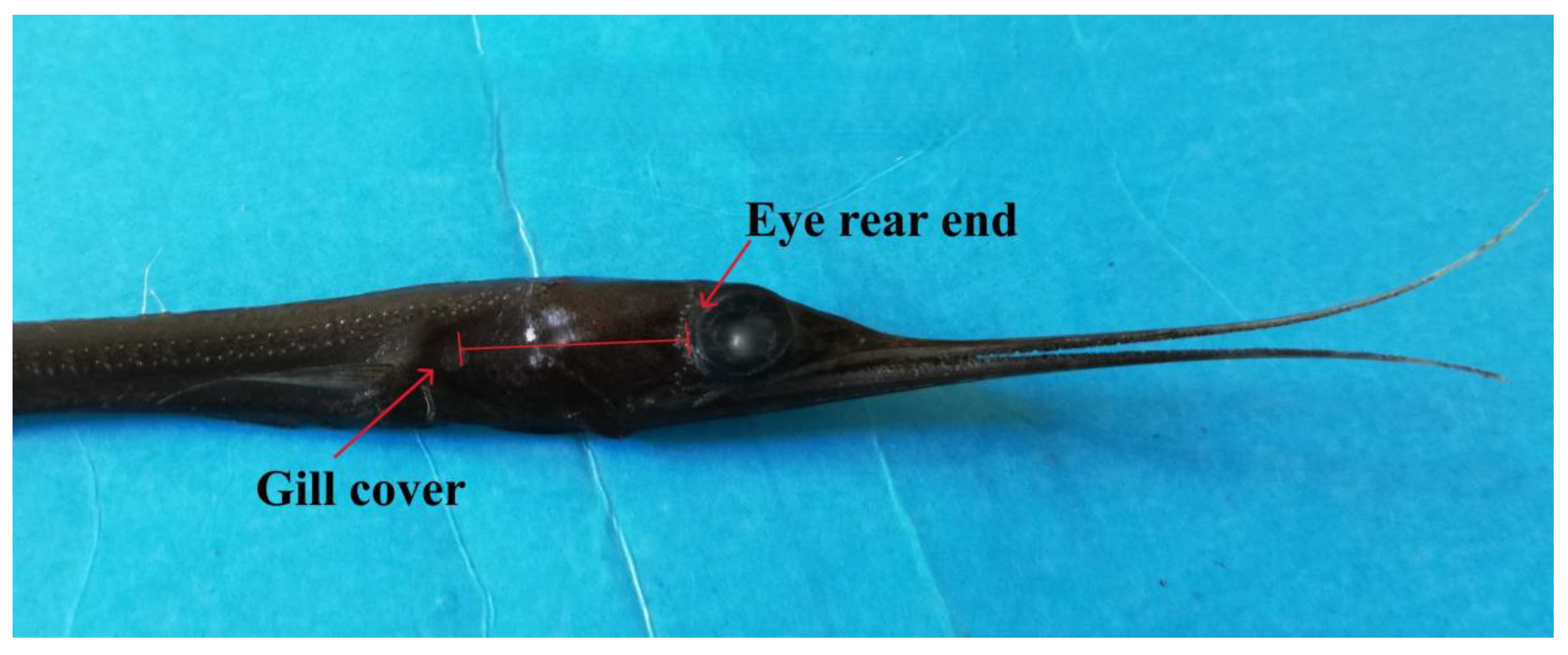 Preprints 162669 g002