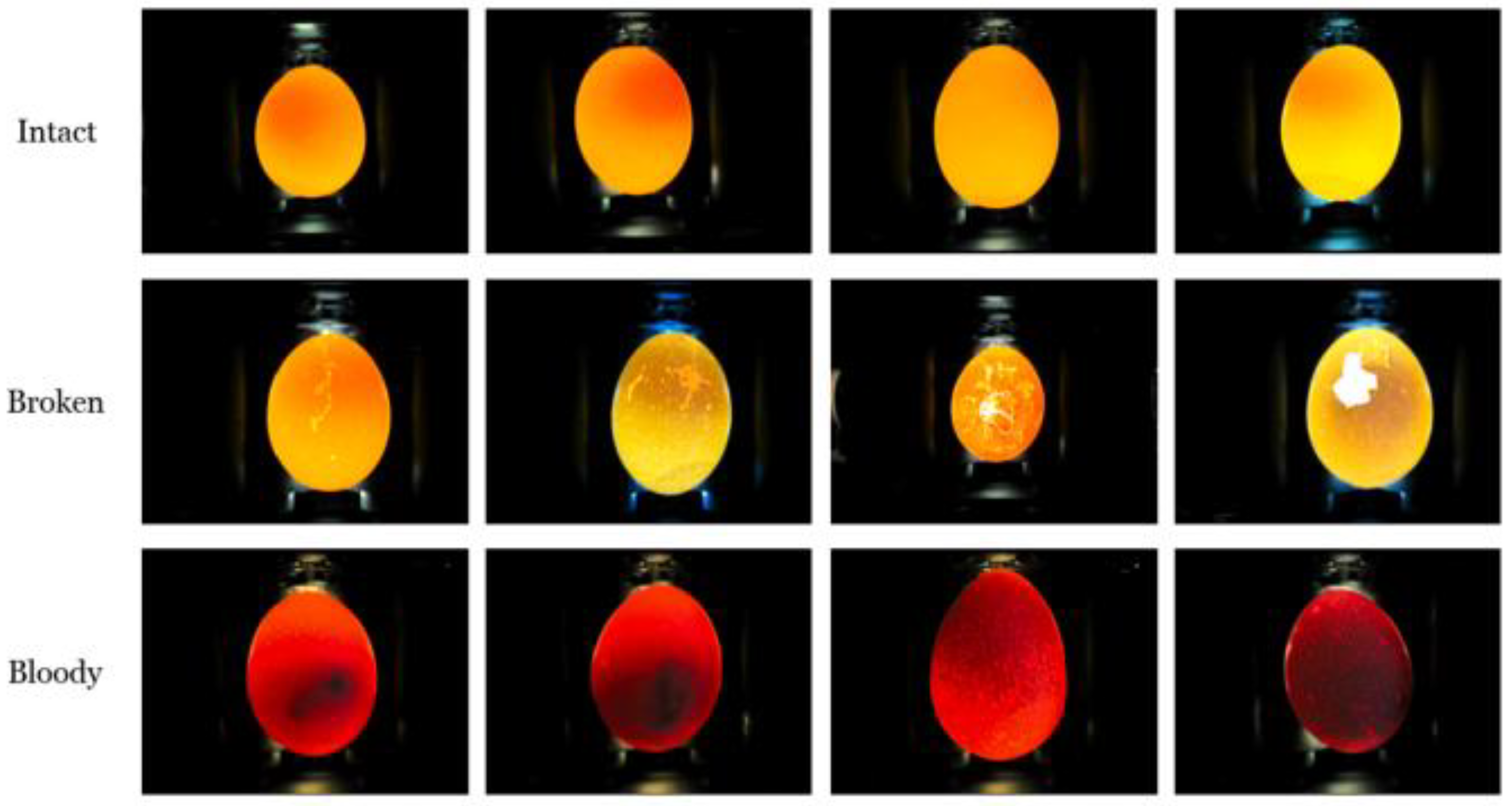 Preprints 180941 g001