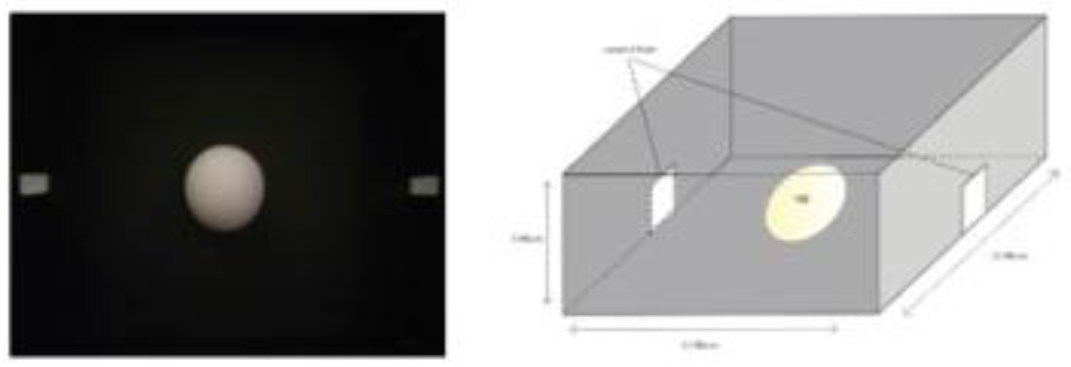 Preprints 180941 g003