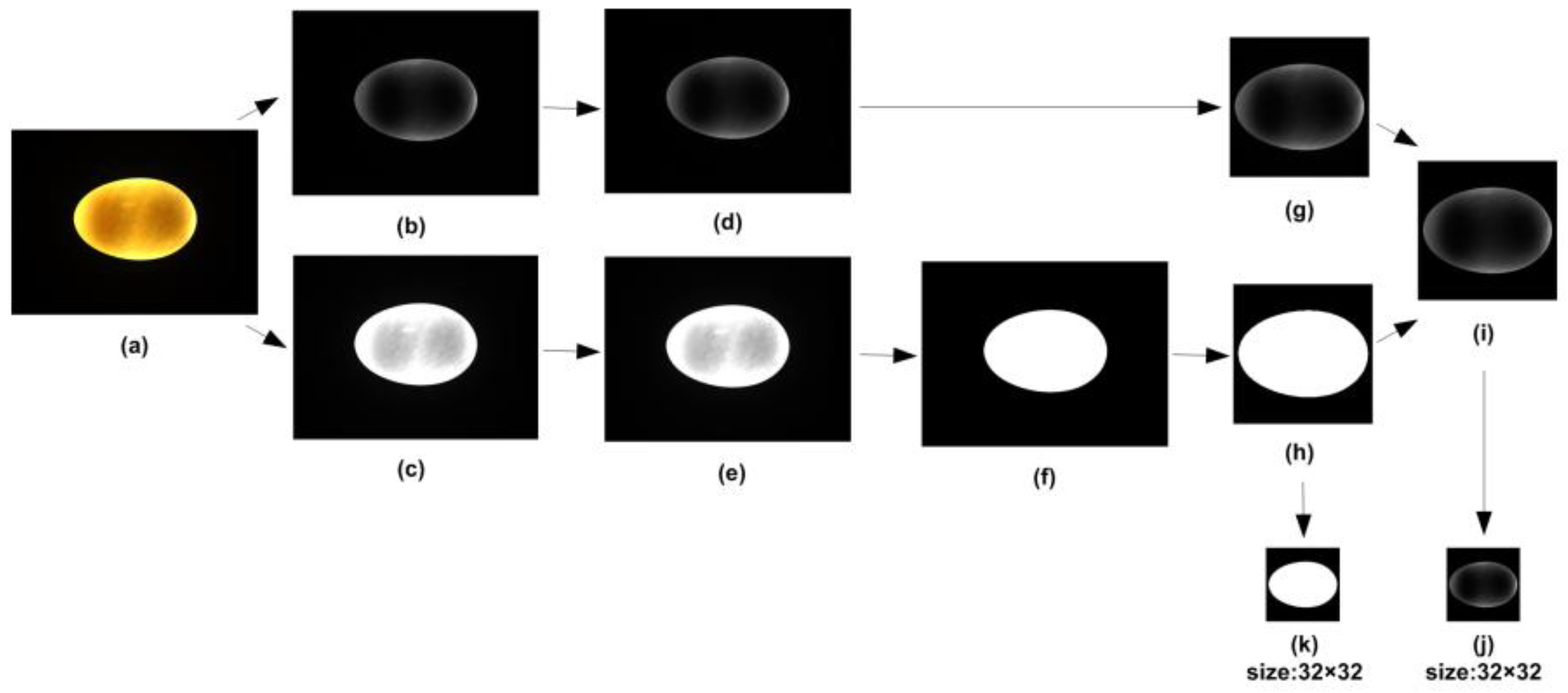 Preprints 180941 g004
