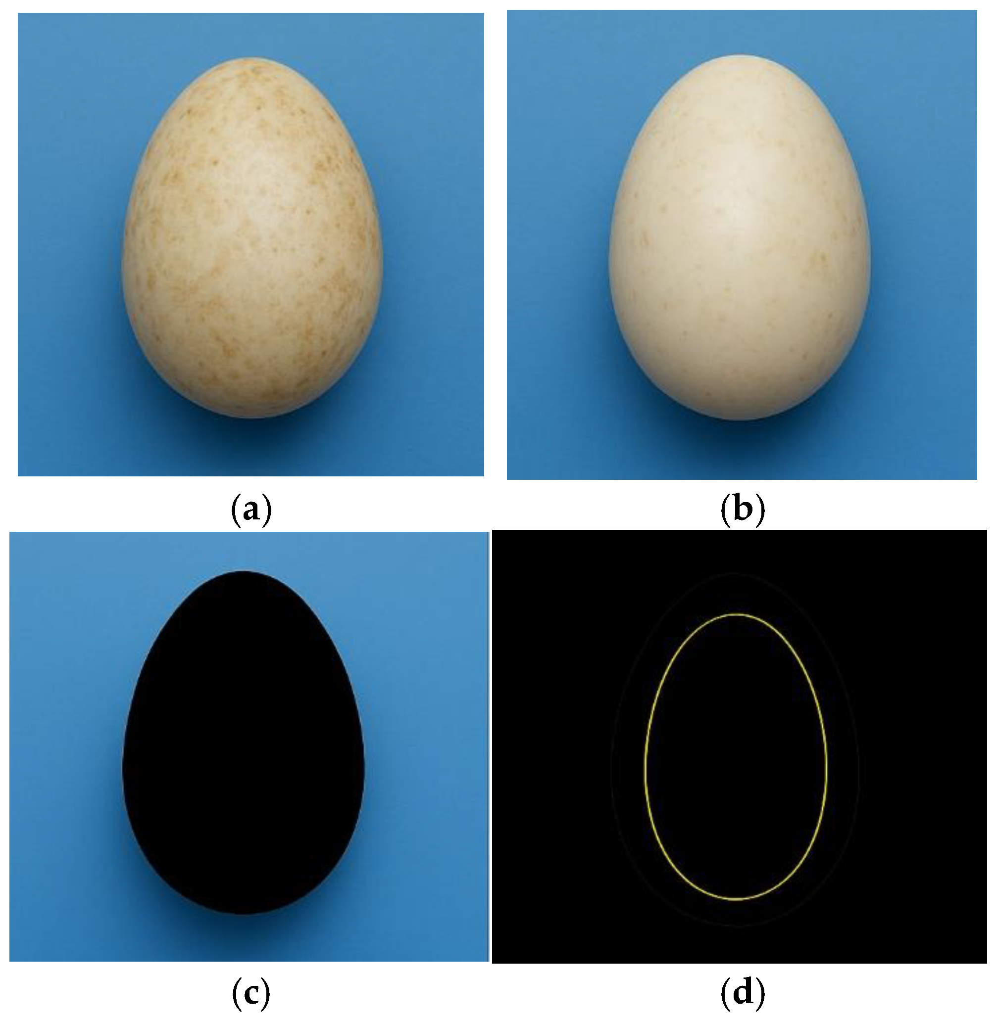 Preprints 180941 g006