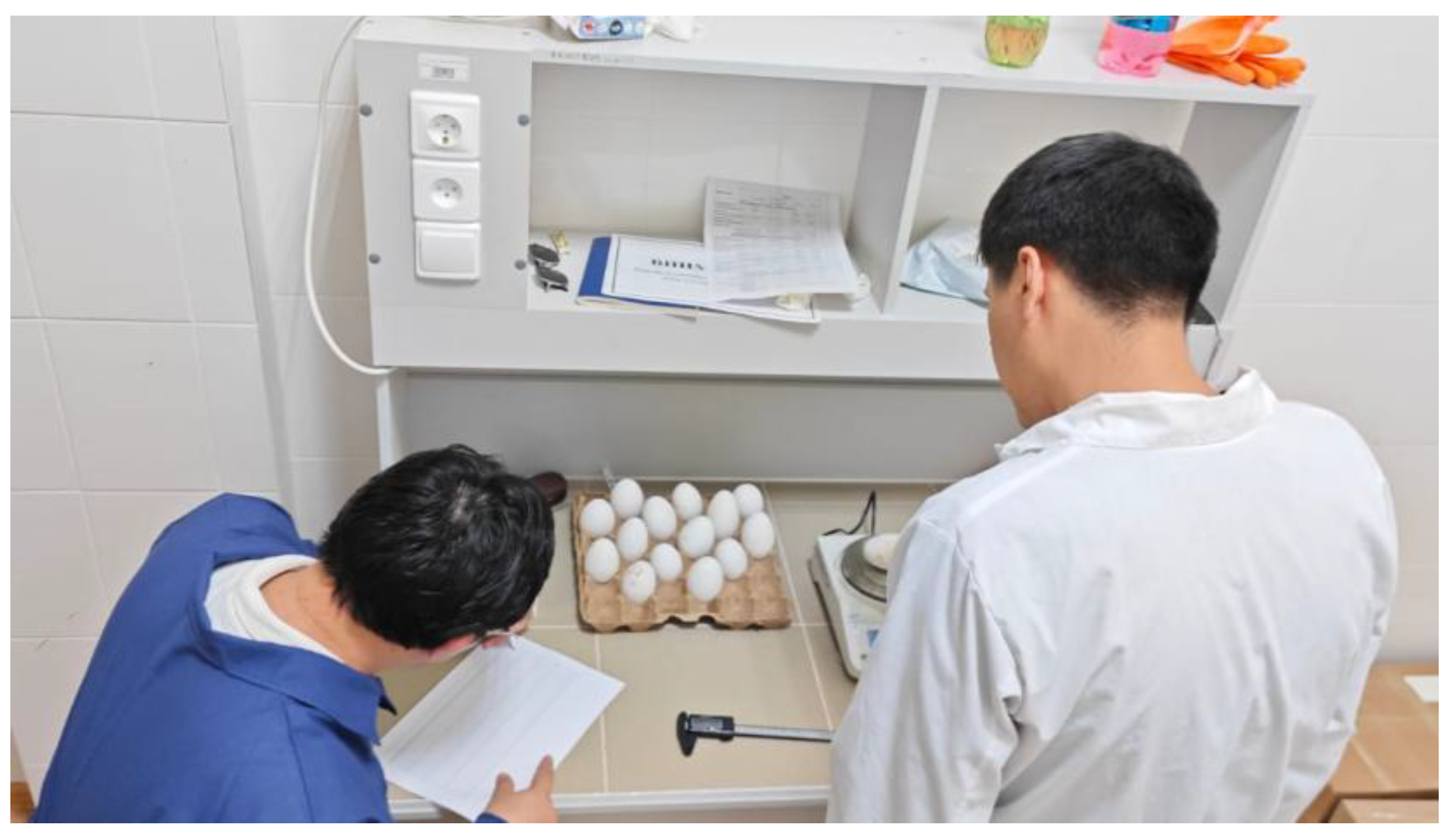 Preprints 180941 g008