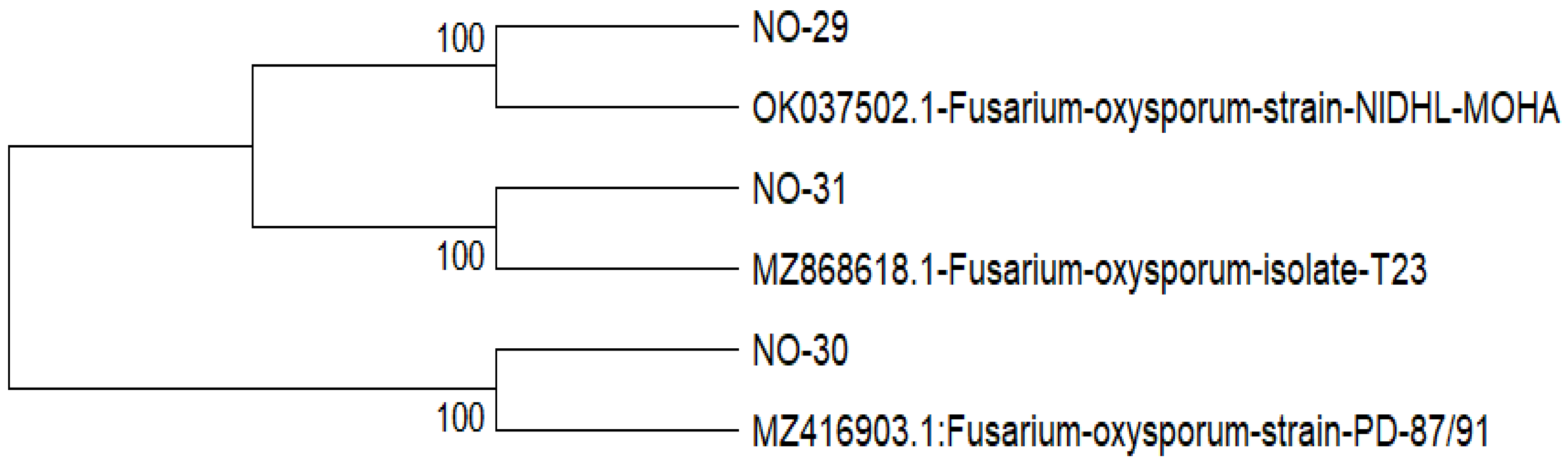 Preprints 216515 g005