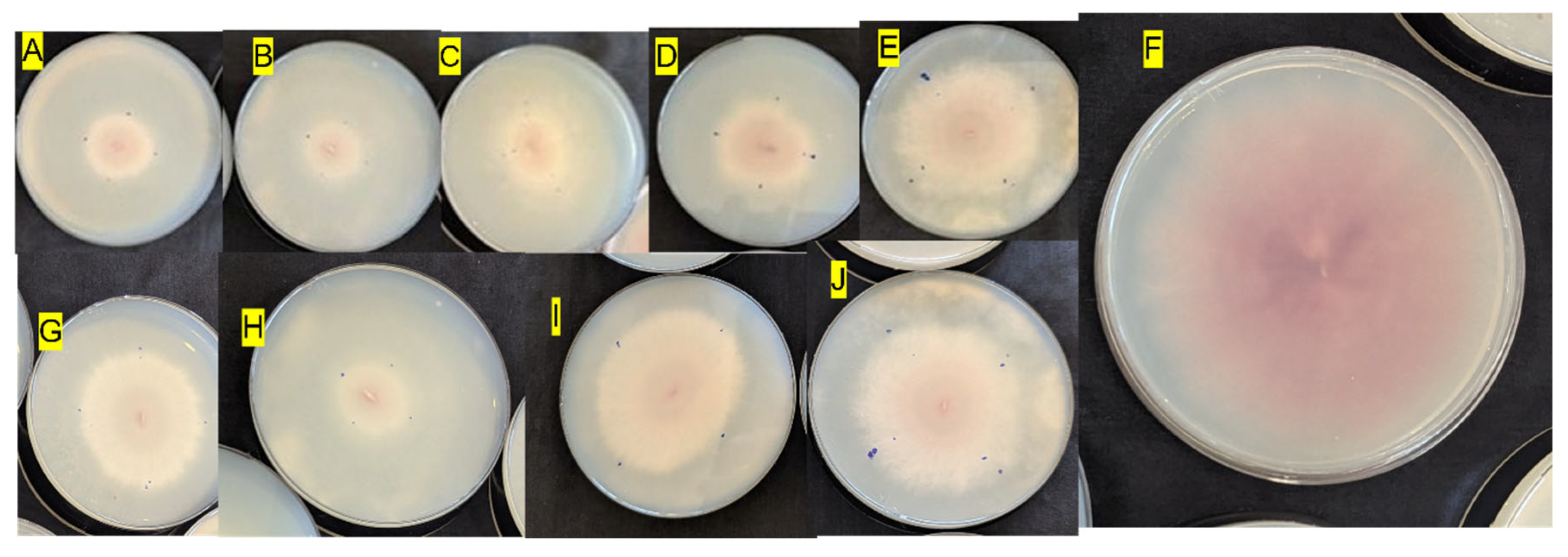 Preprints 216515 g013