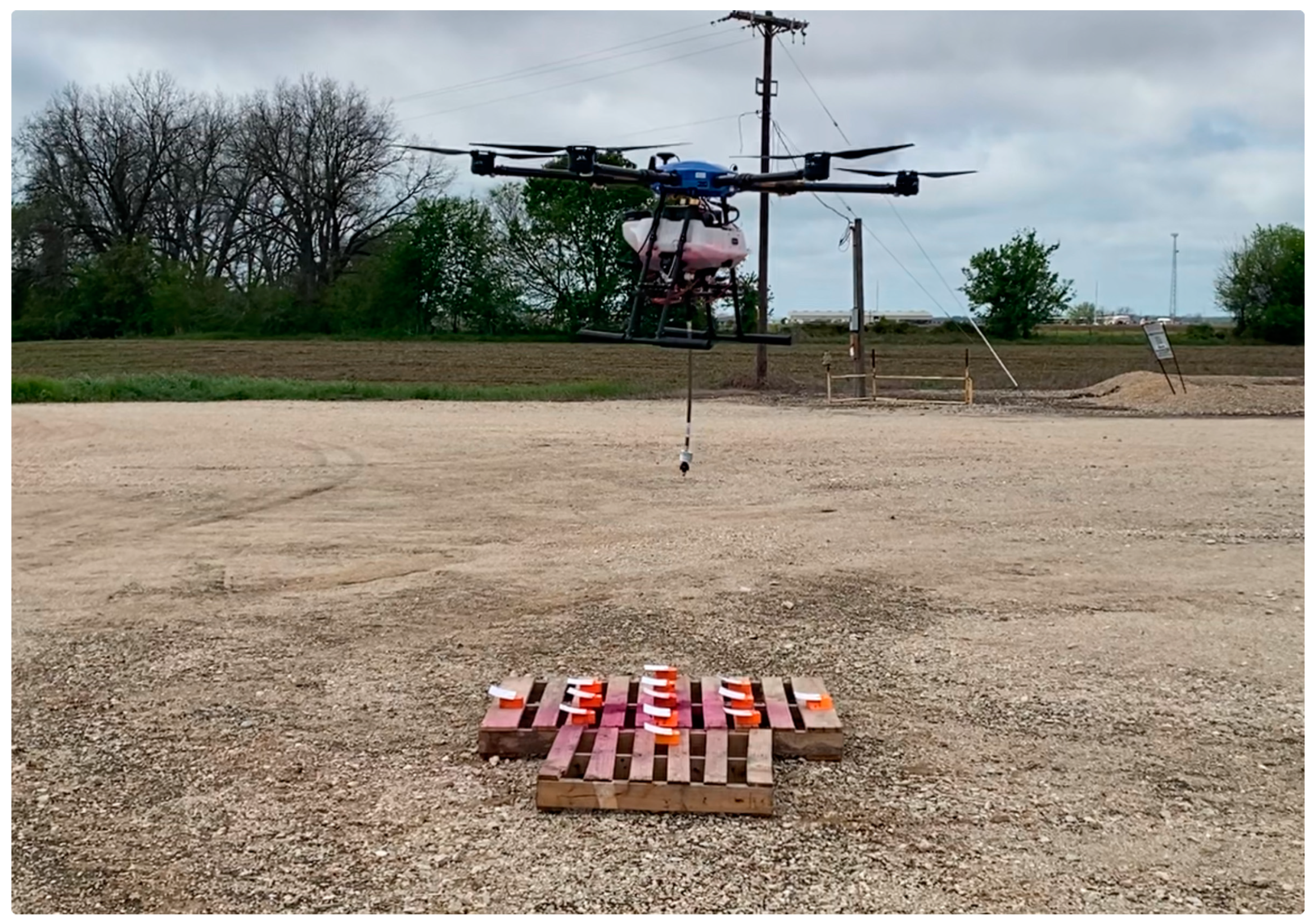 Preprints 142908 g002