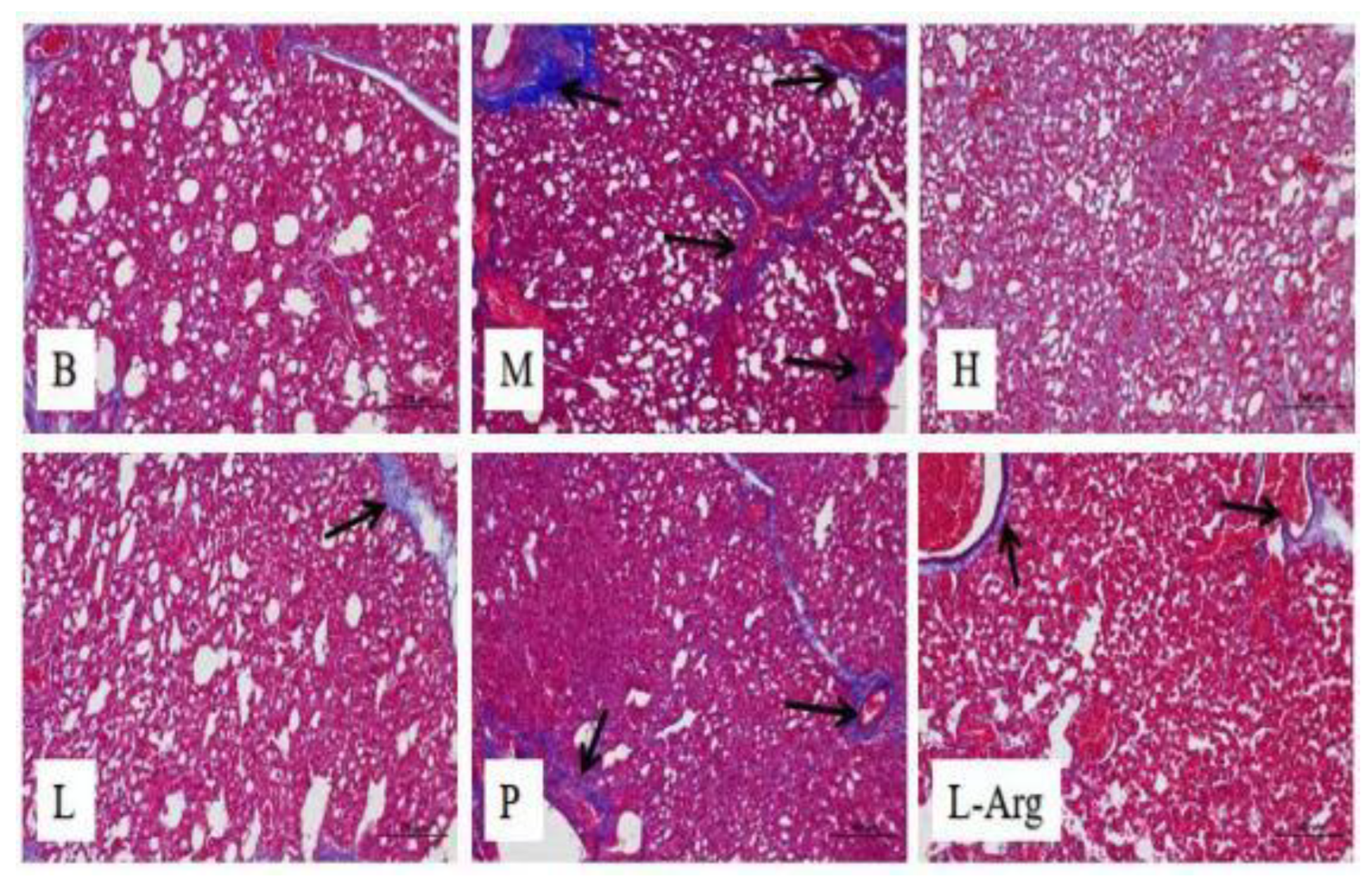 Preprints 193175 g002