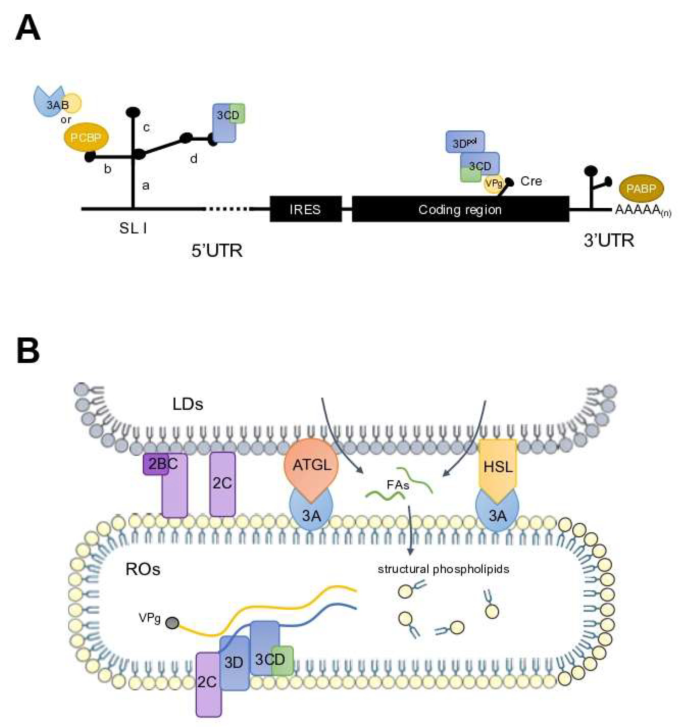Preprints 145976 g003