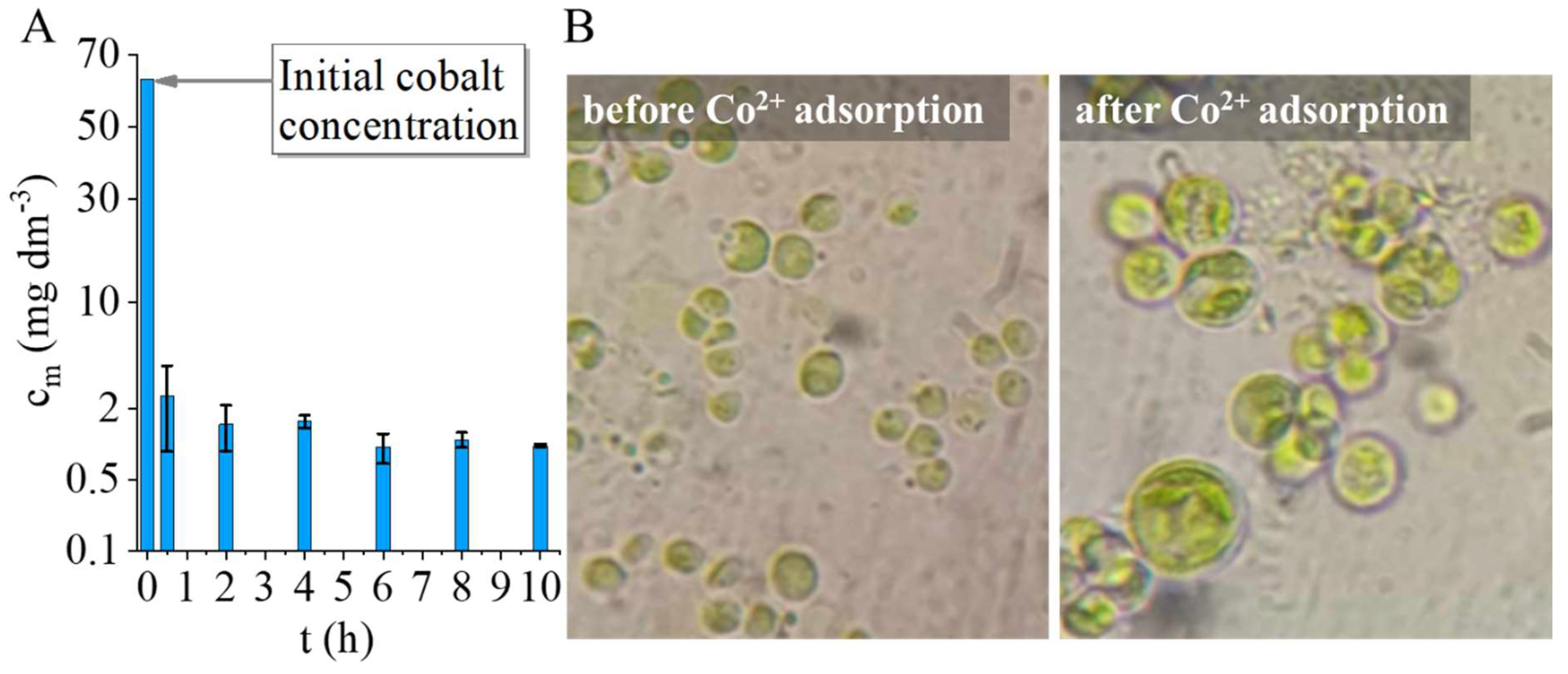 Preprints 158967 g004