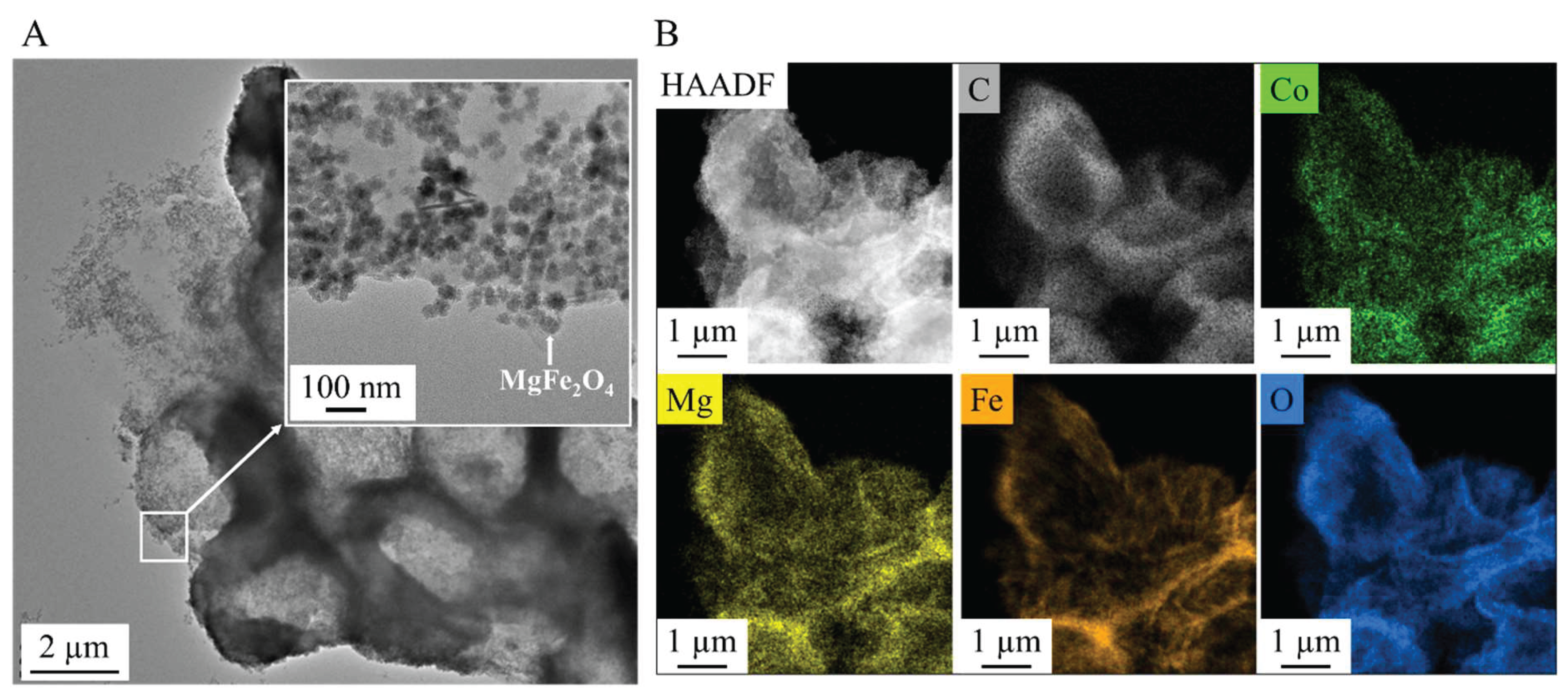 Preprints 158967 g006