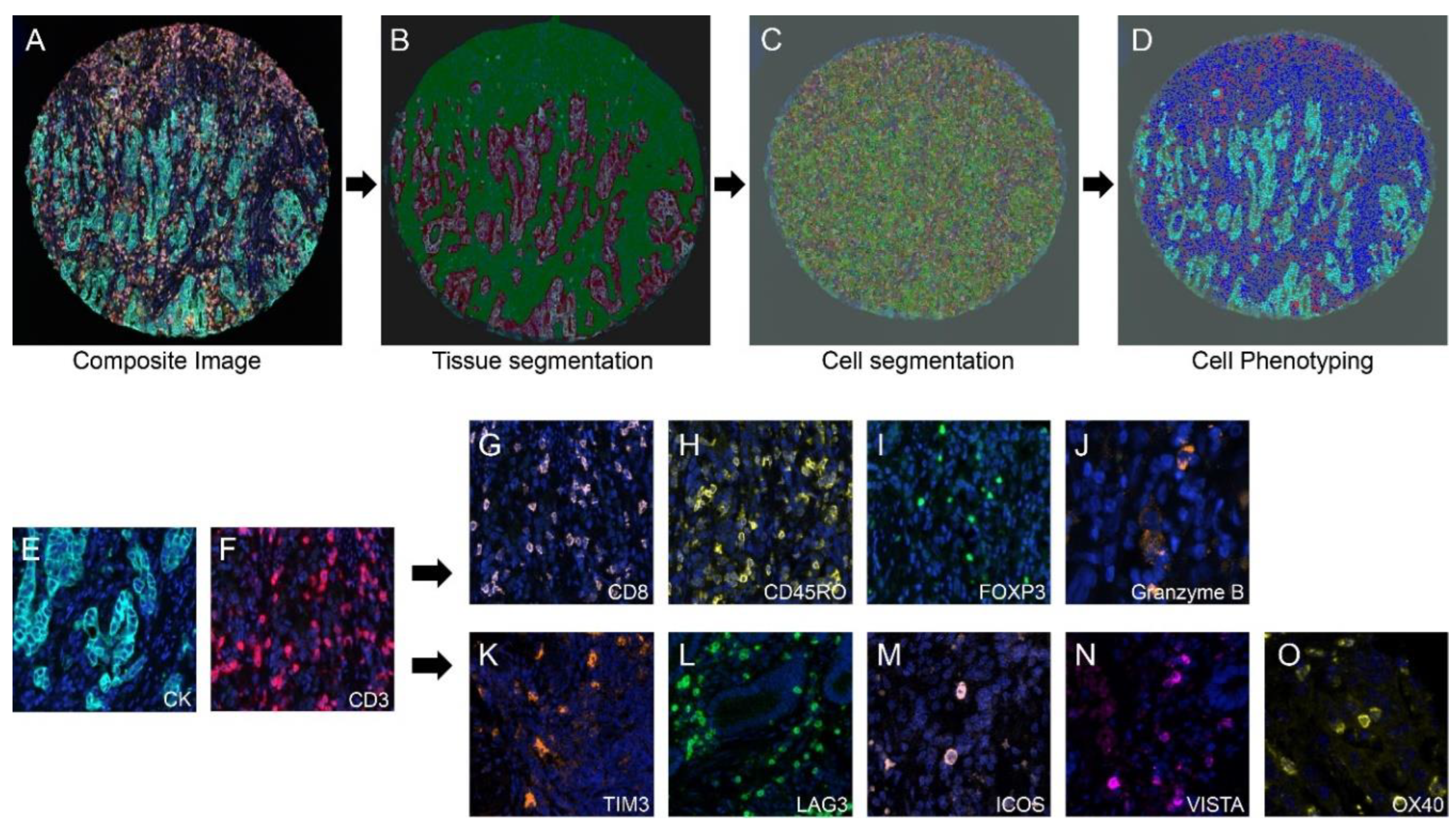 Preprints 93278 g001