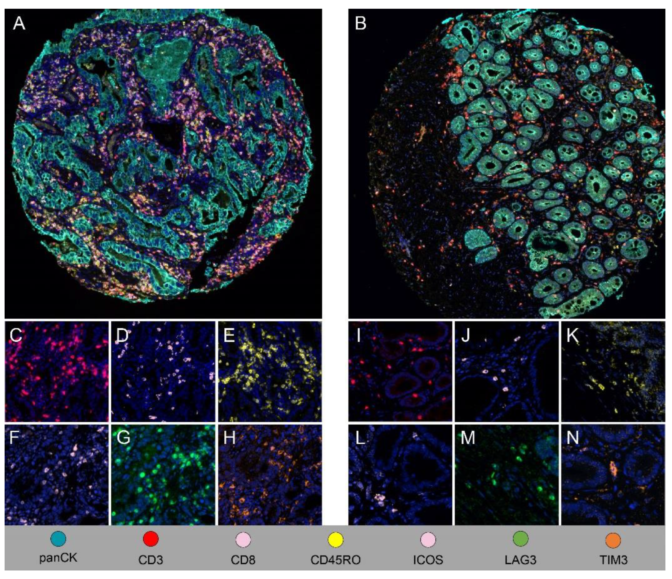 Preprints 93278 g003