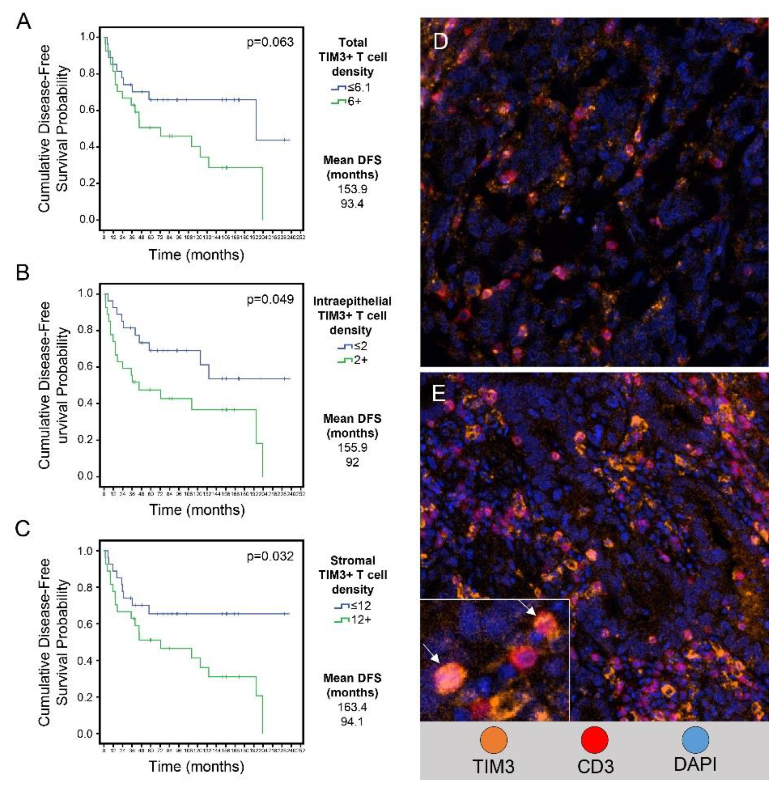 Preprints 93278 g006