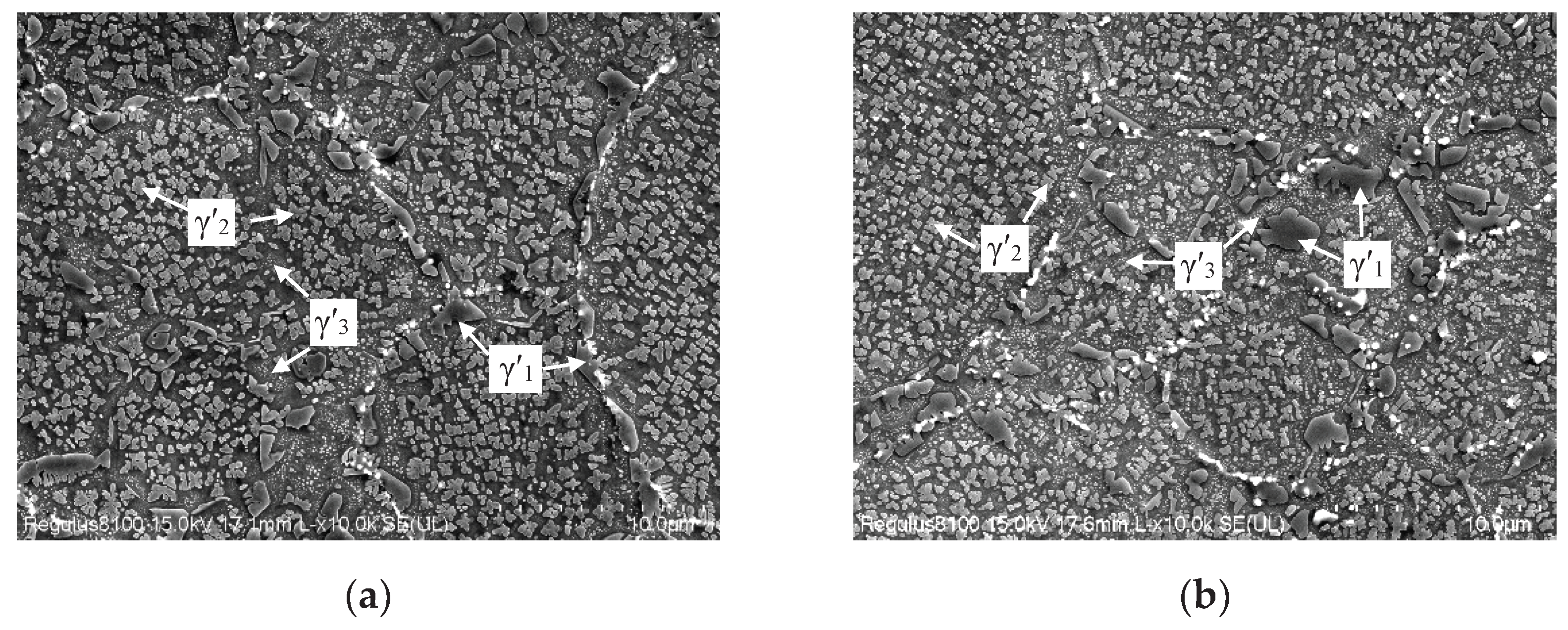 Preprints 102091 g002a