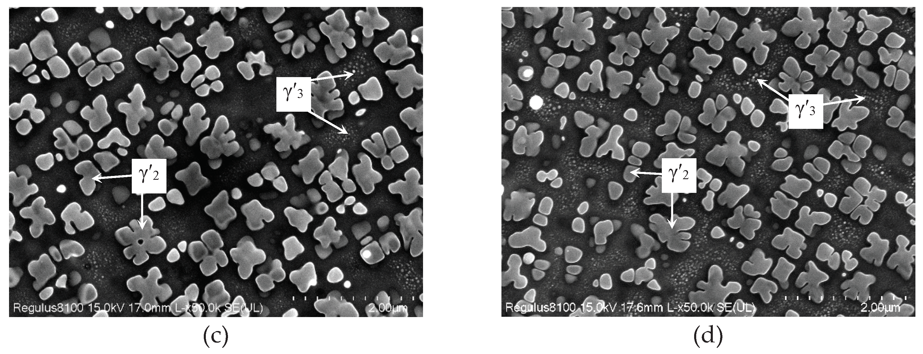 Preprints 102091 g002b