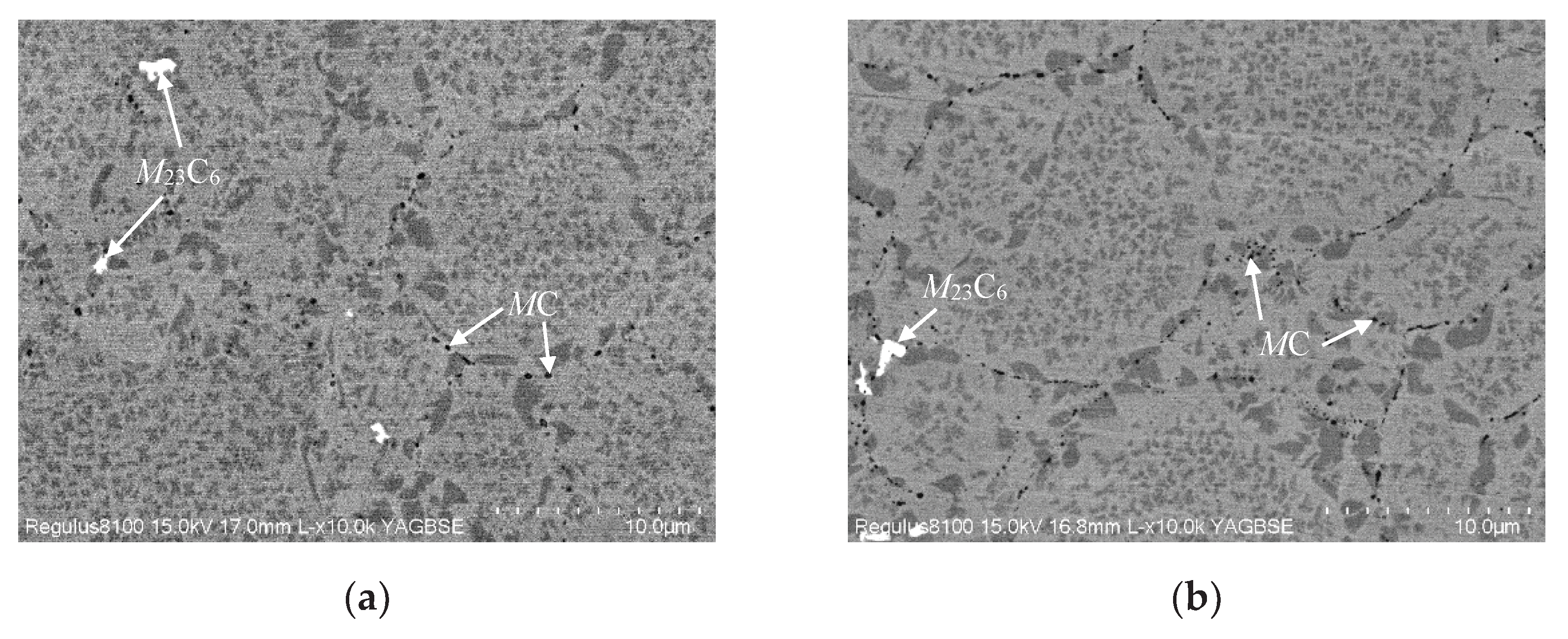 Preprints 102091 g003a