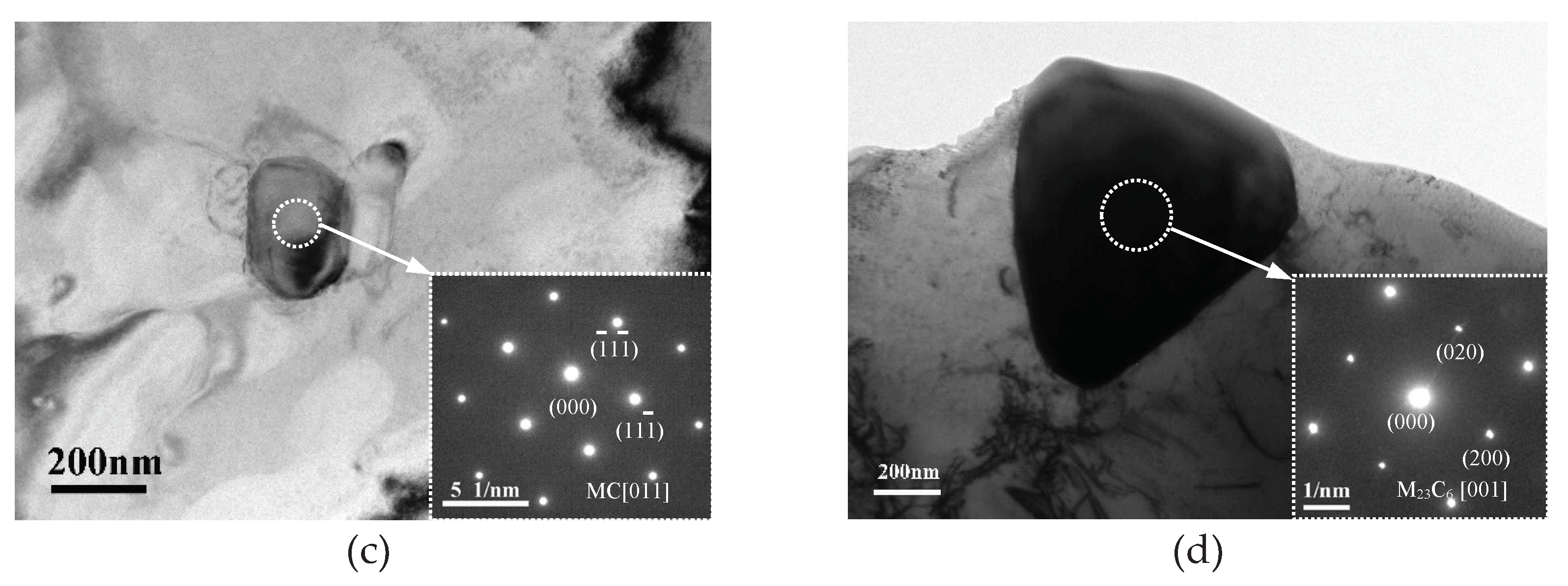 Preprints 102091 g003b