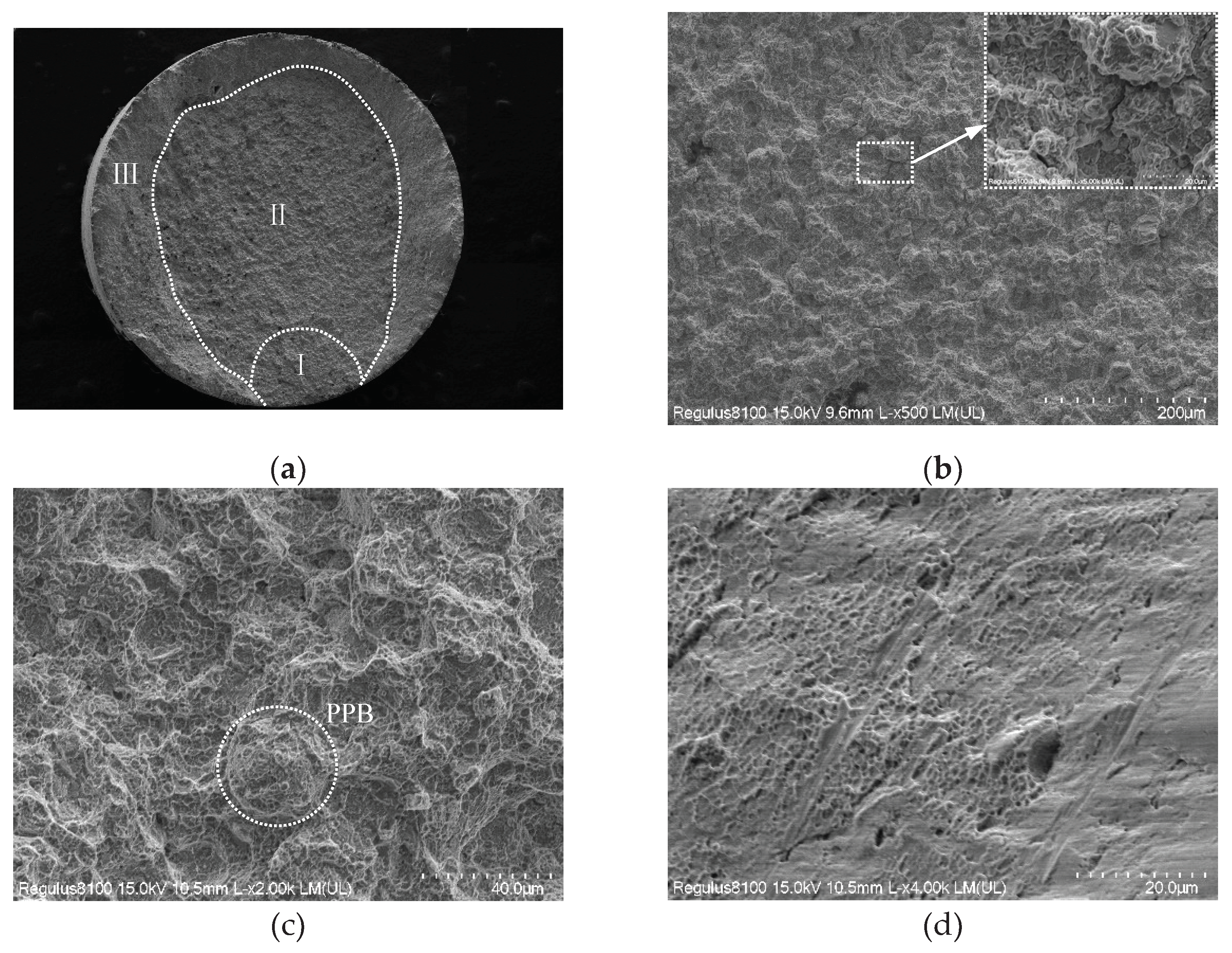 Preprints 102091 g010