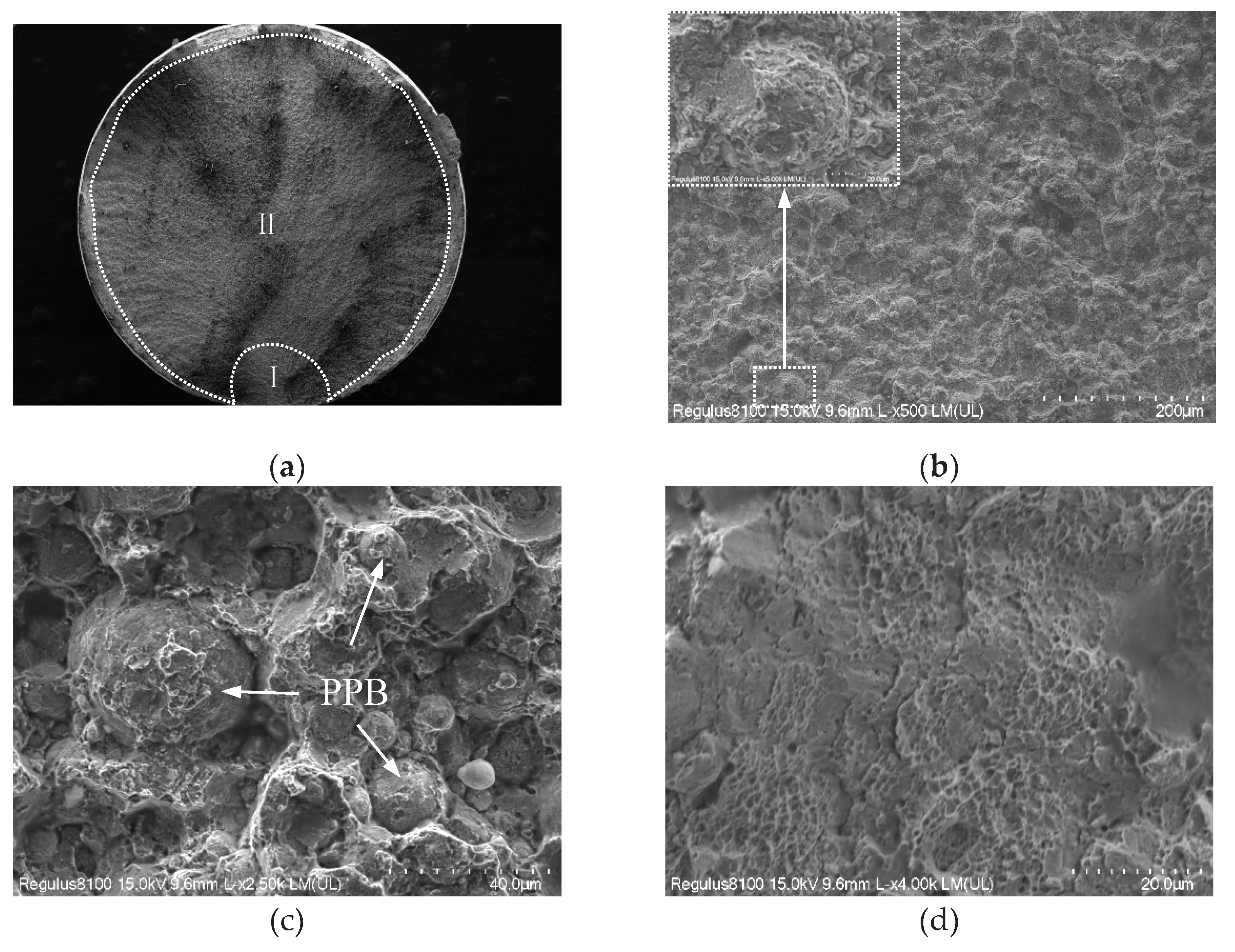 Preprints 102091 g011