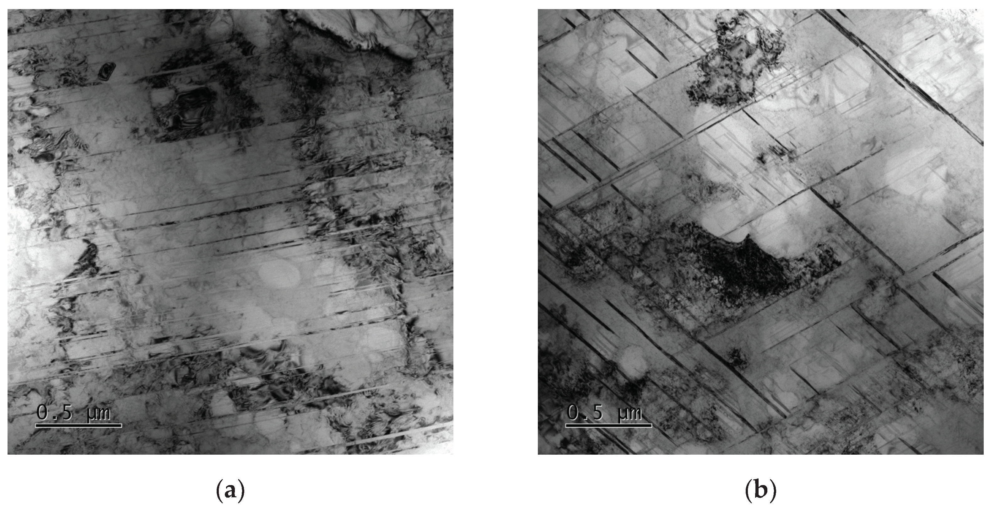 Preprints 102091 g014