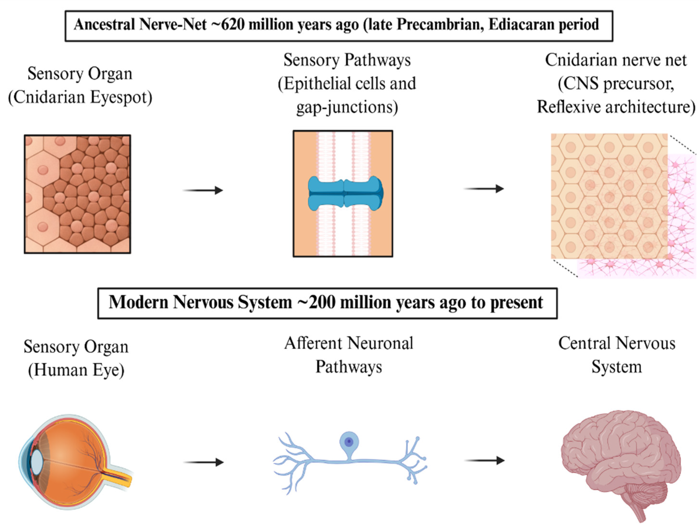 Preprints 238662 g001 Preprints 238662 g001