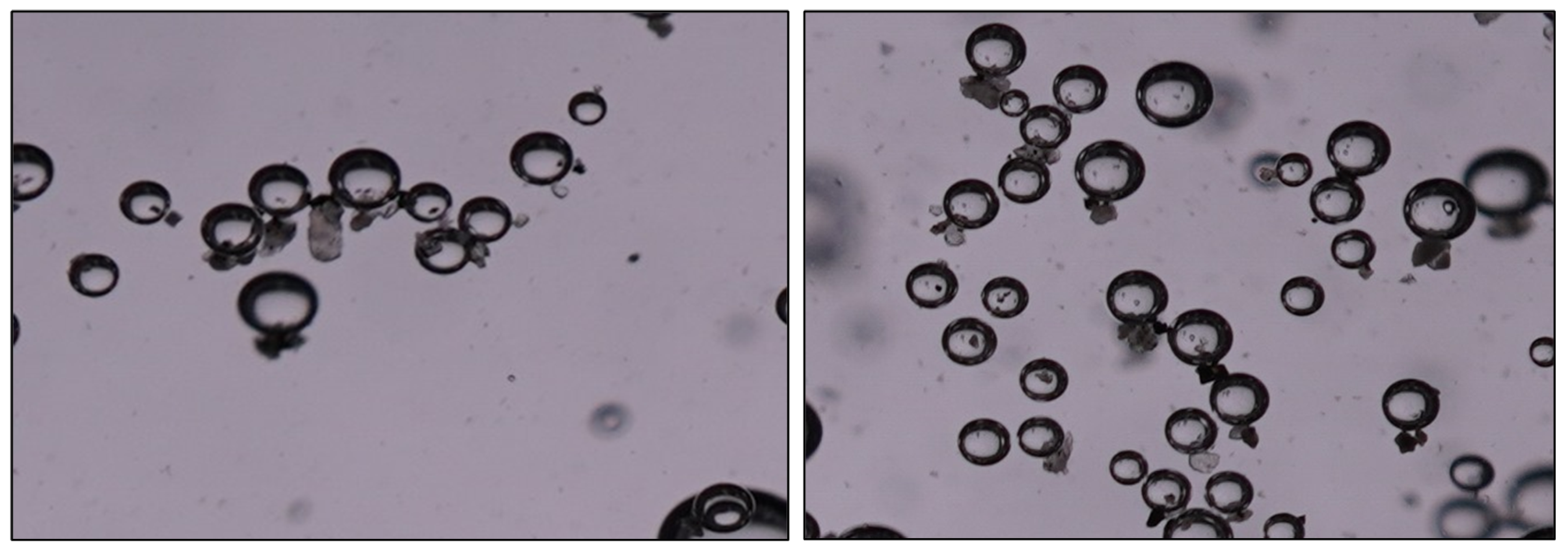 Preprints 217644 g009