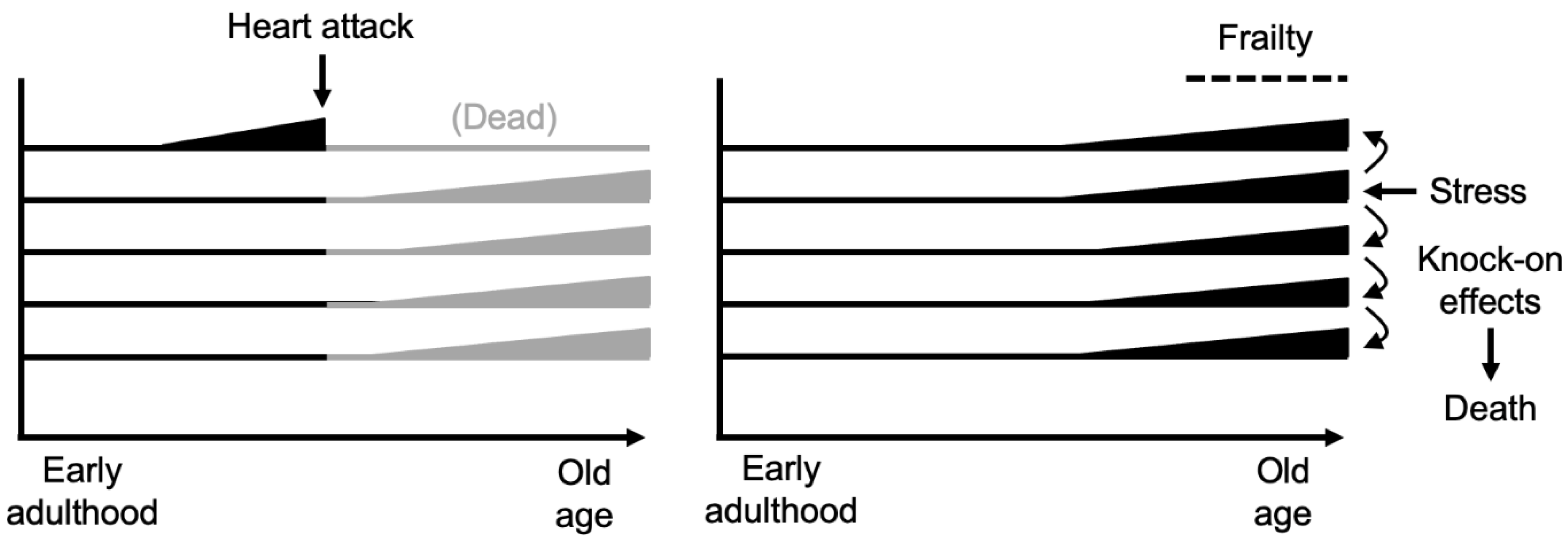 Preprints 182676 g002