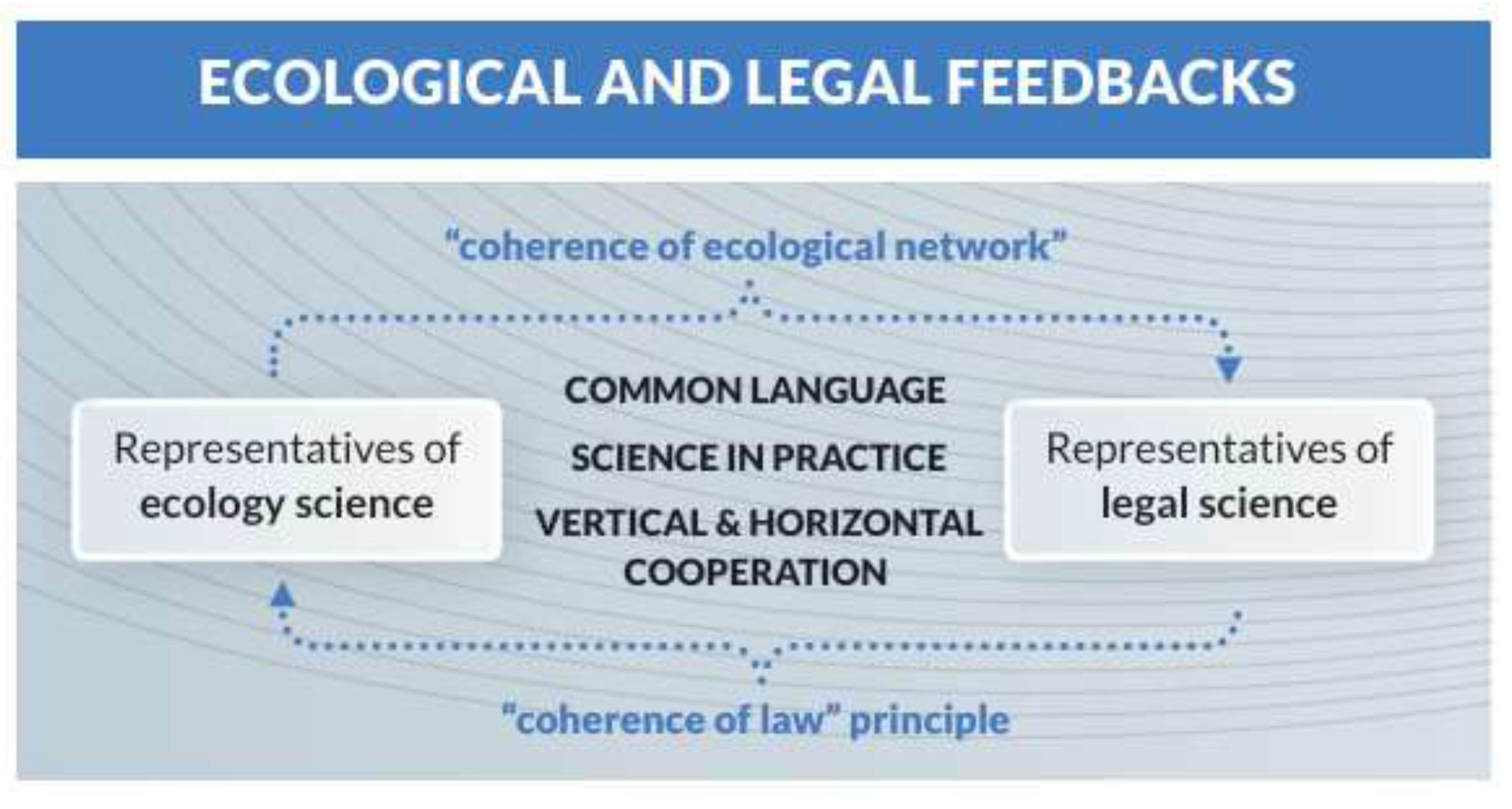 Preprints 198125 g002