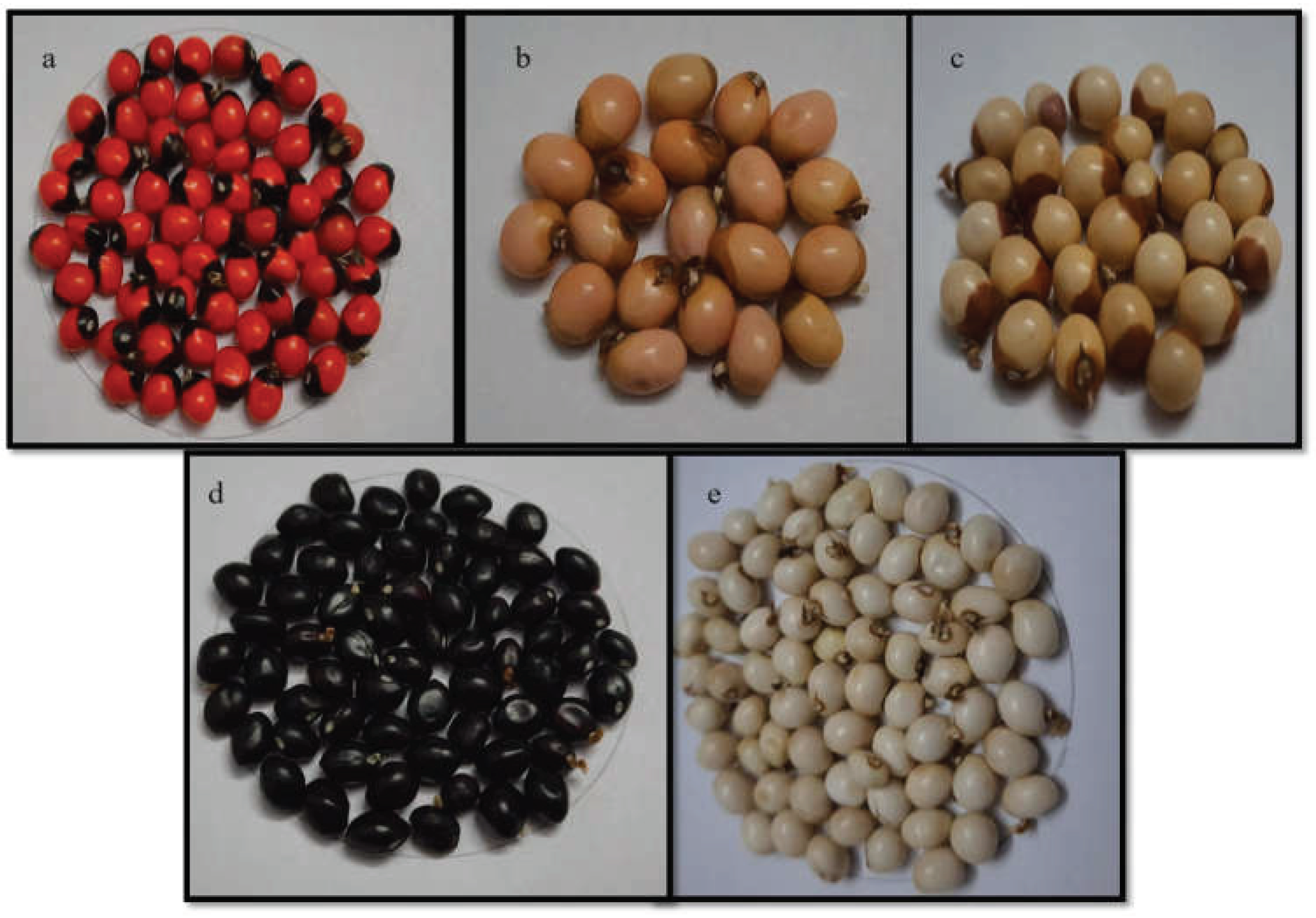 Preprints 102774 g008