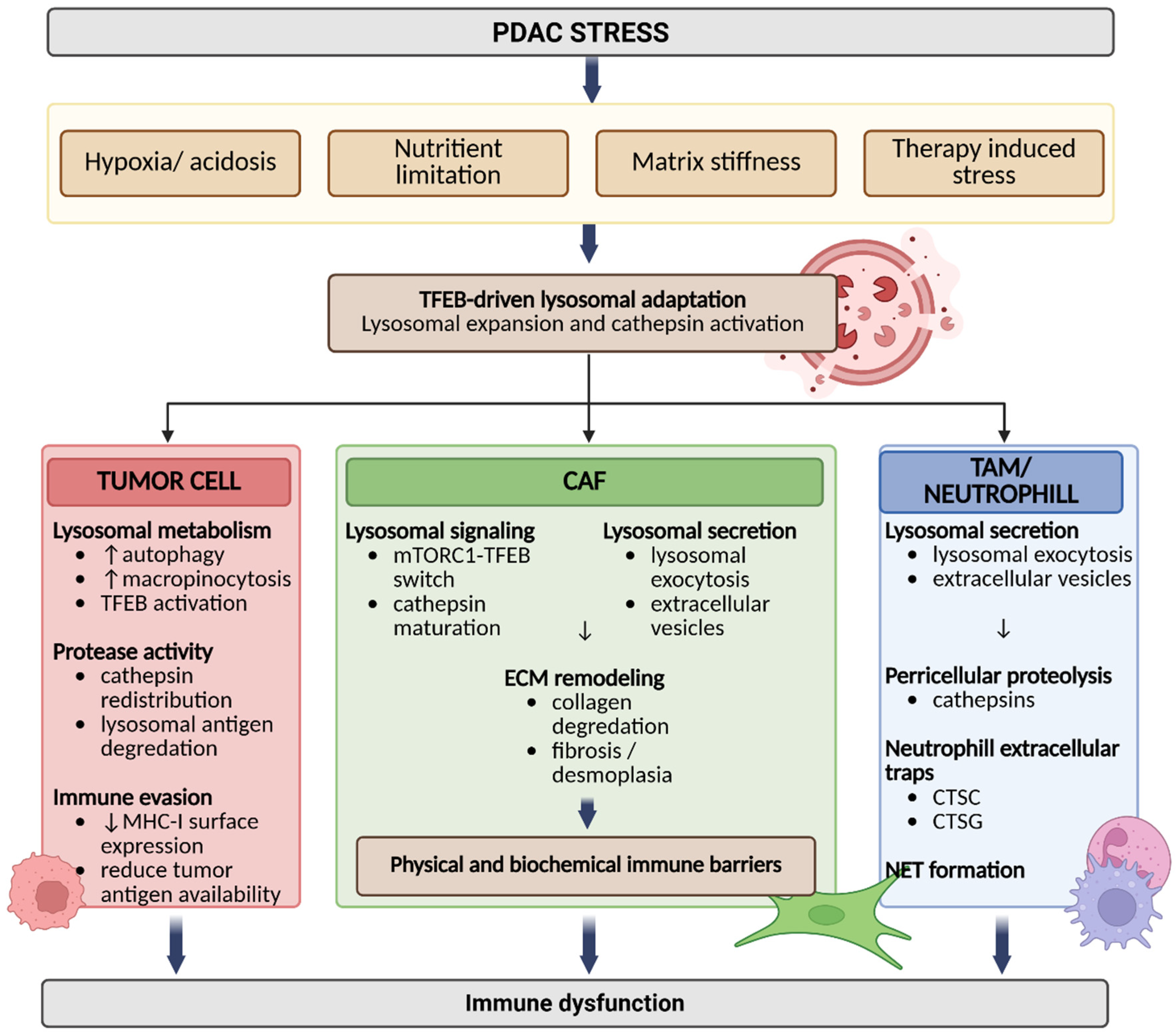 Preprints 210468 g001
