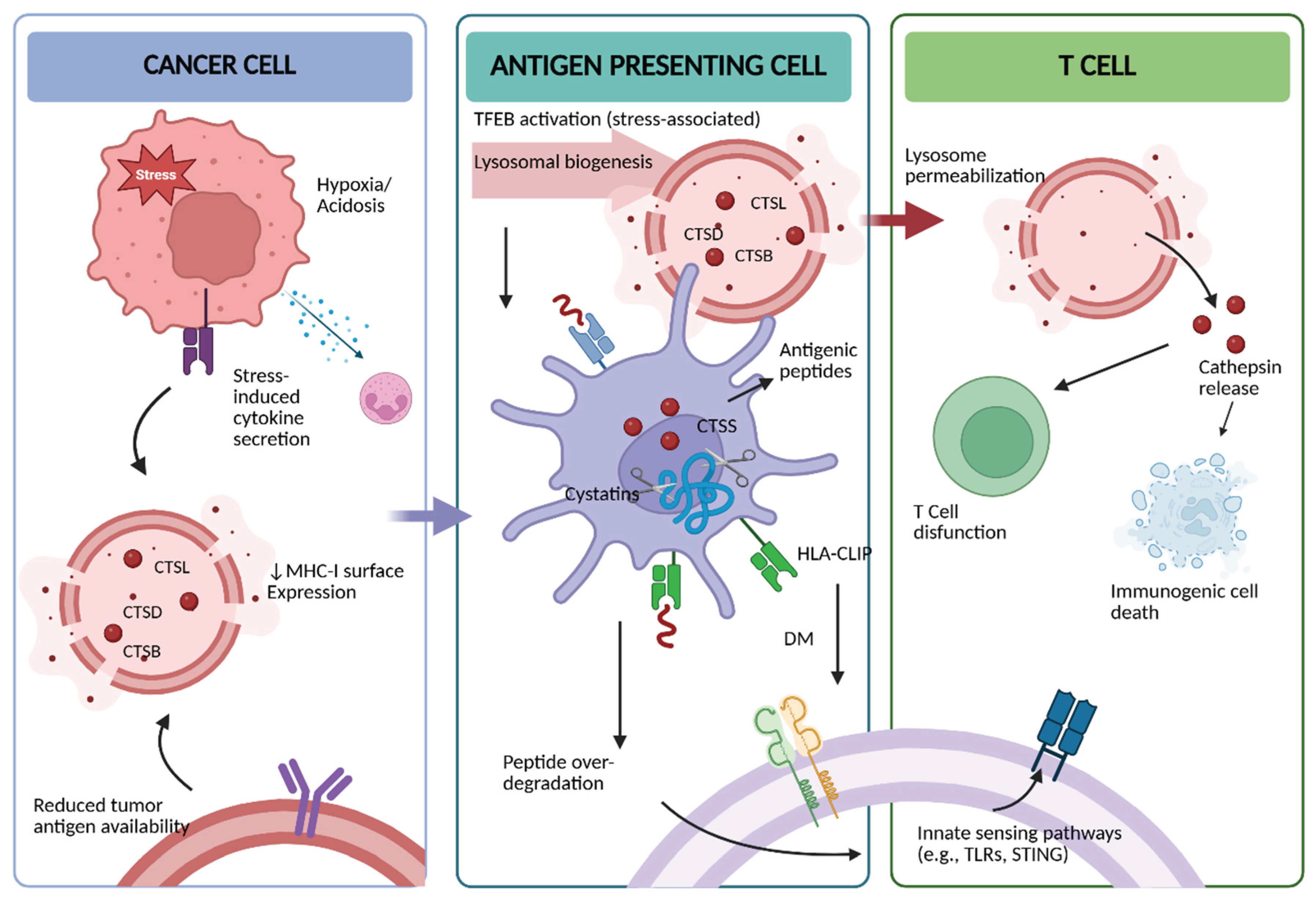 Preprints 210468 g002