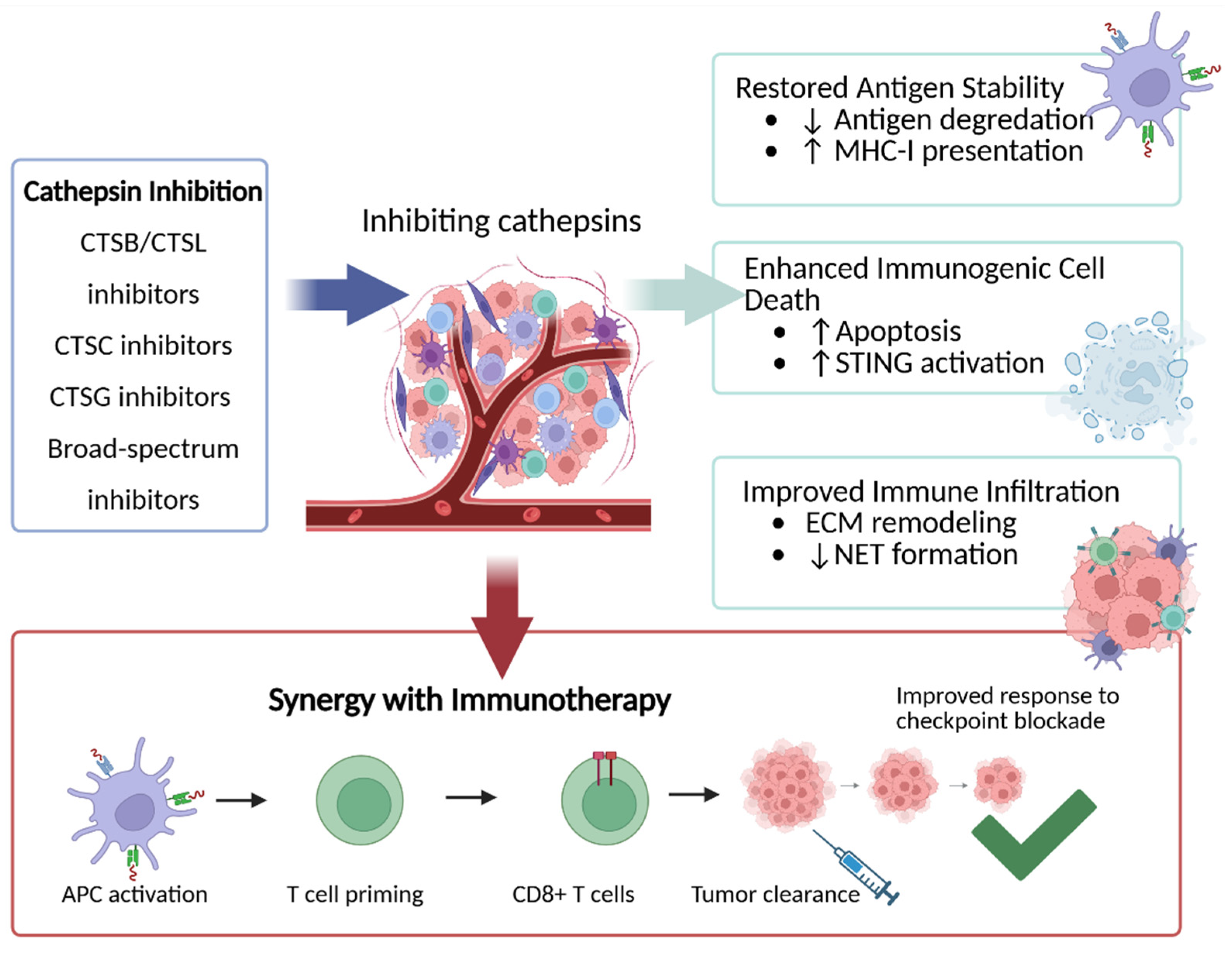 Preprints 210468 g003