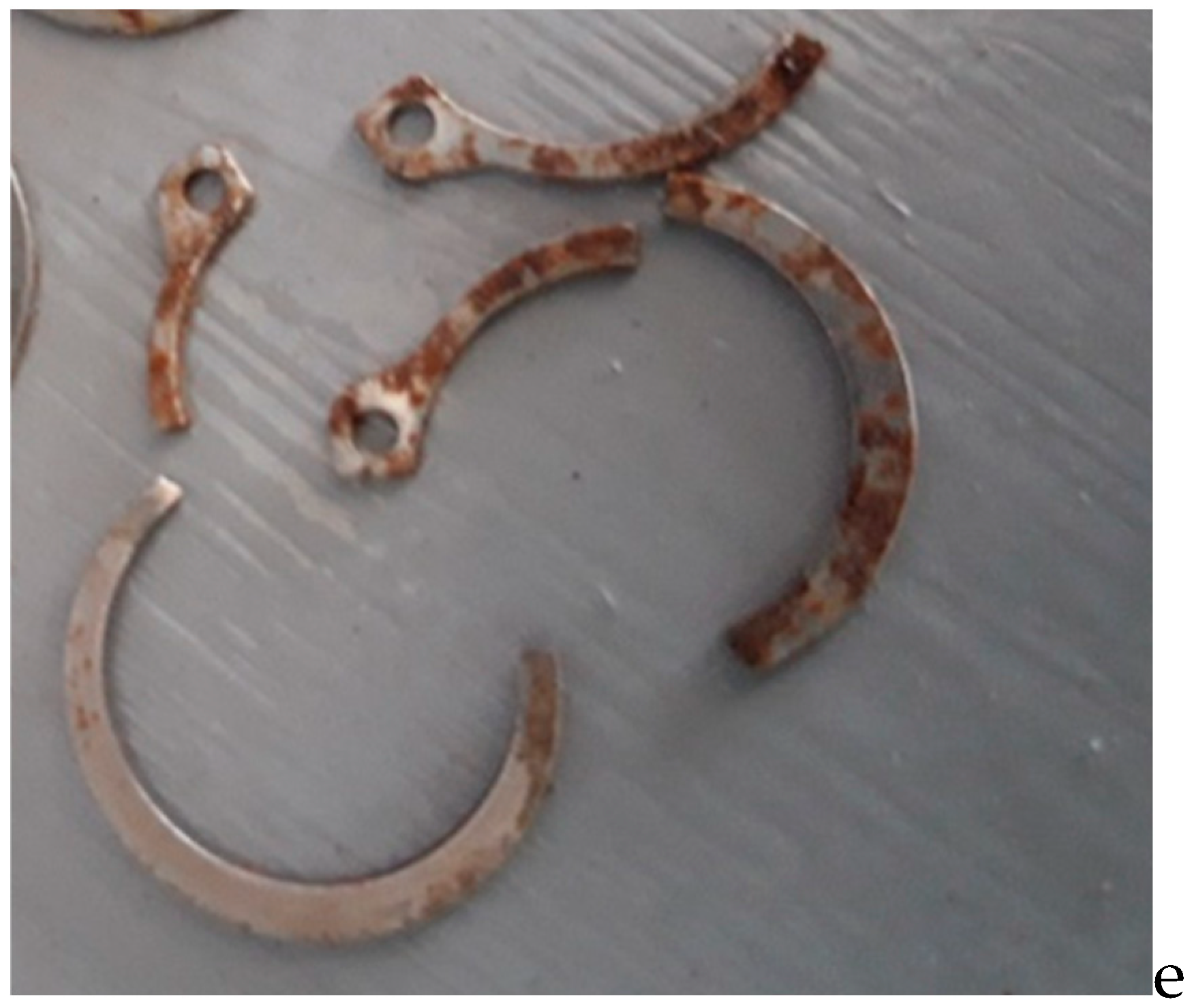 Preprints 80373 g006