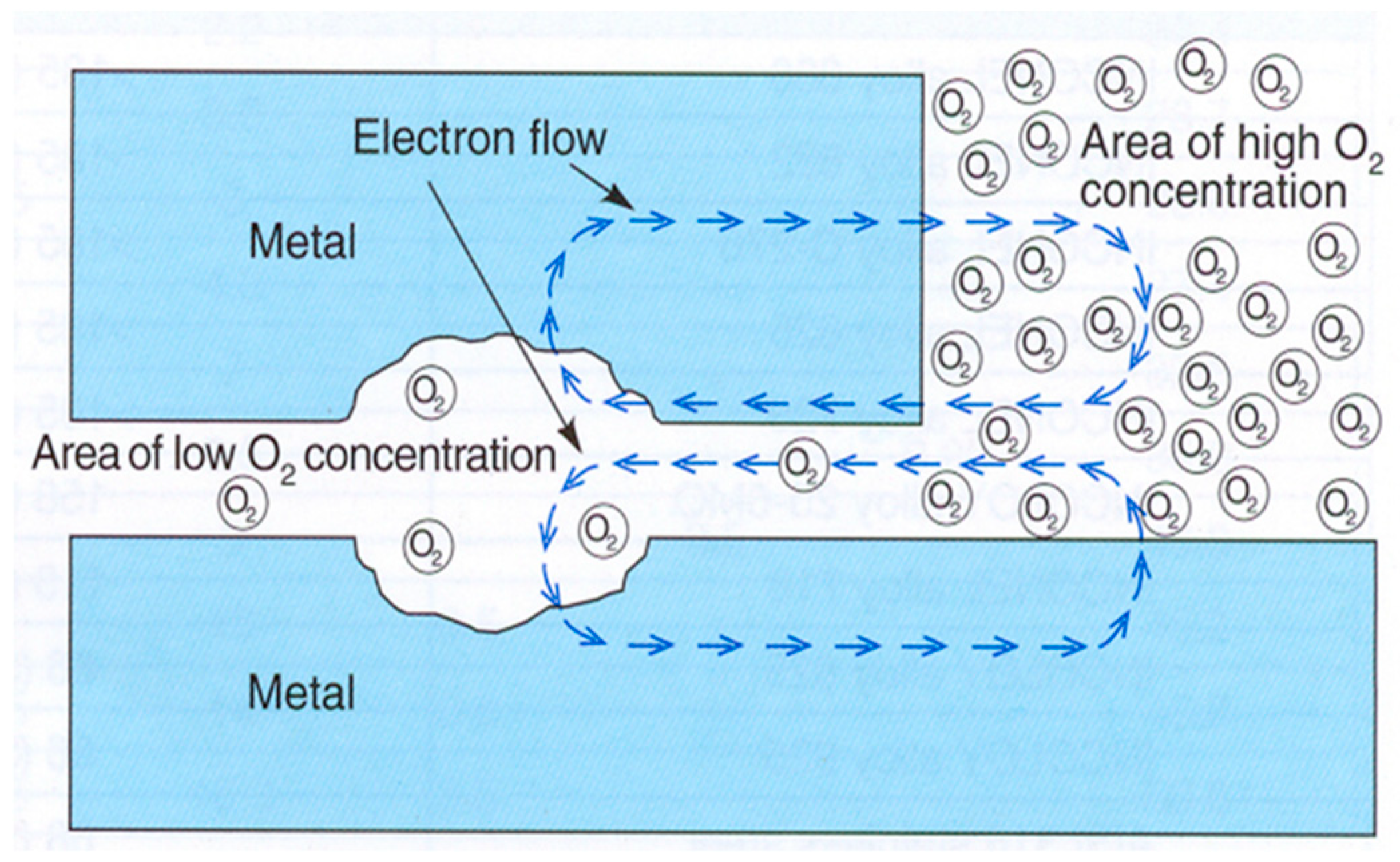Preprints 80373 g008