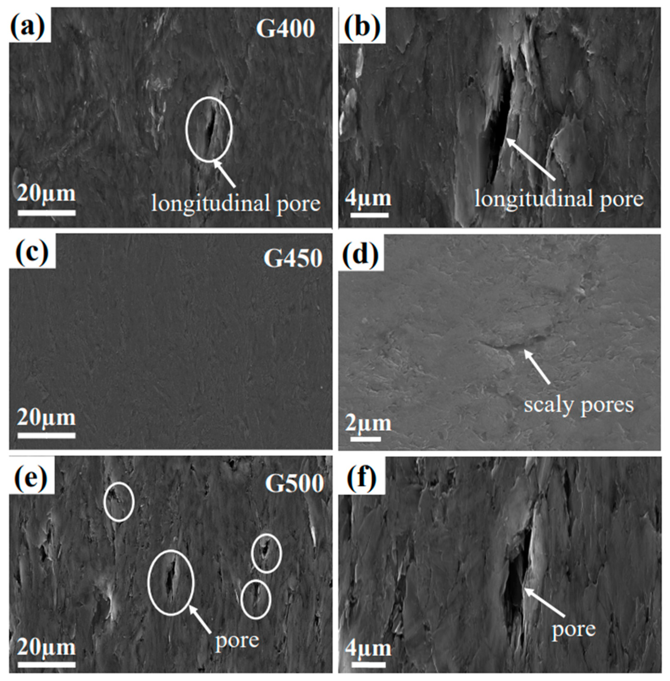 Preprints 79654 g003